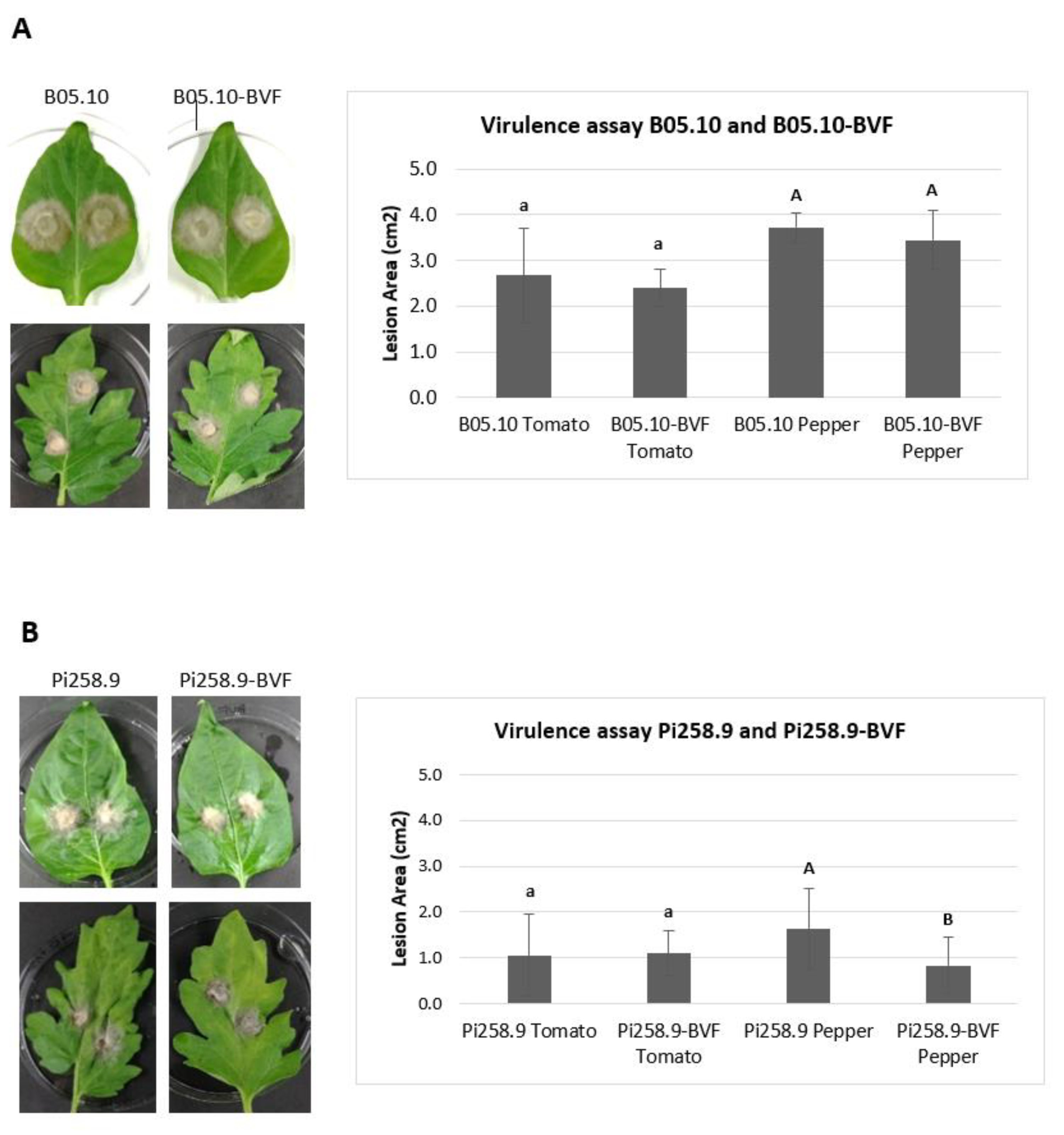 Jof 08 00459 g006 Jof 08 00459 g006