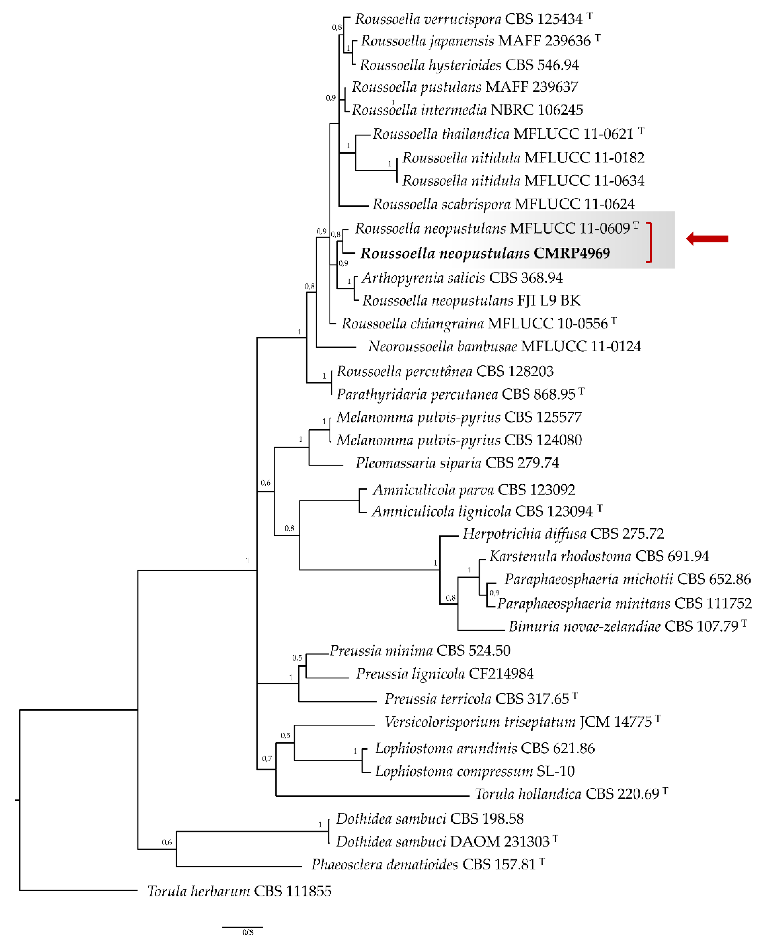 Jof 08 00507 g002 Jof 08 00507 g002