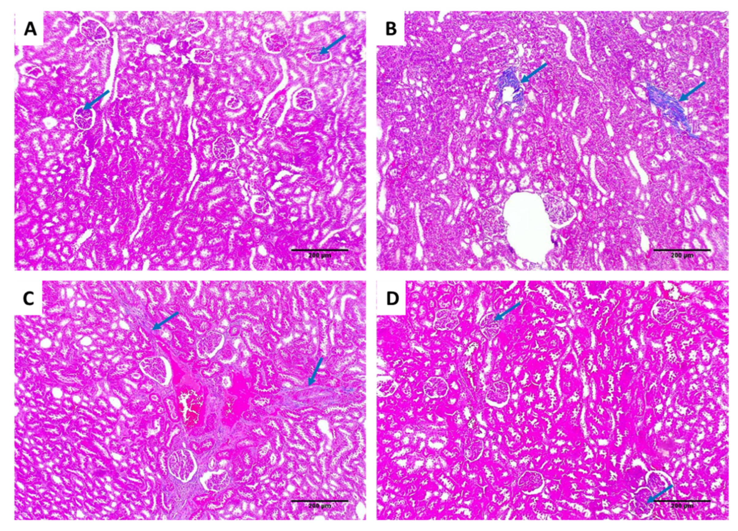 Jof 08 00521 g009 550