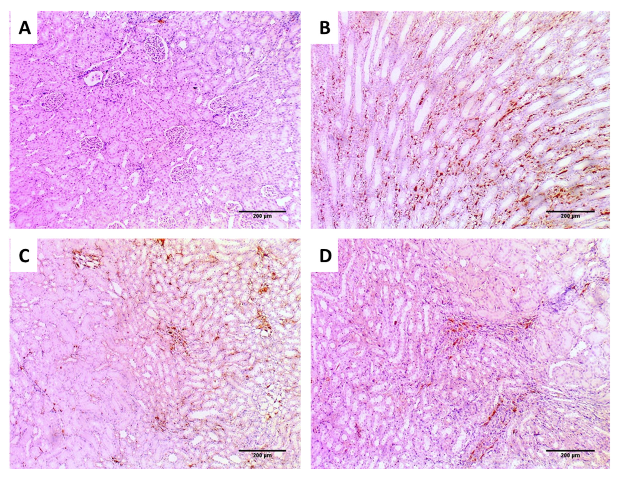 Jof 08 00521 g010 550