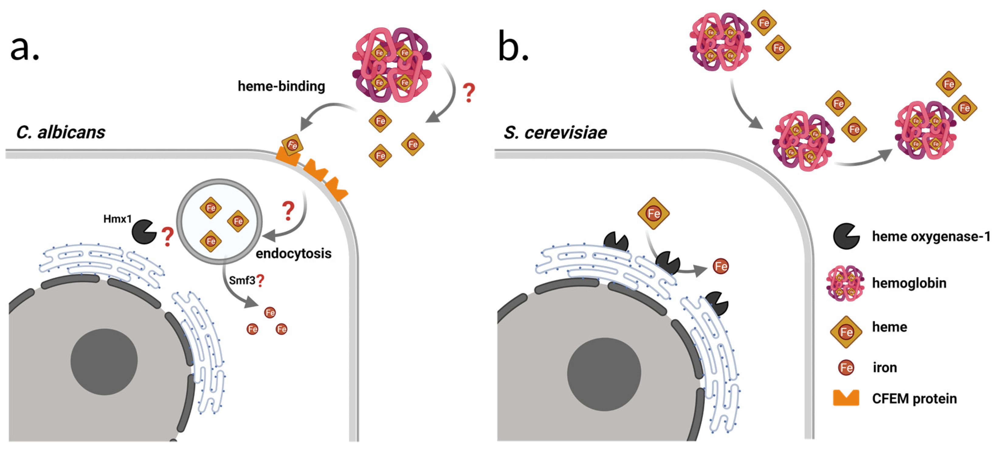 Jof 08 00522 g001 550
