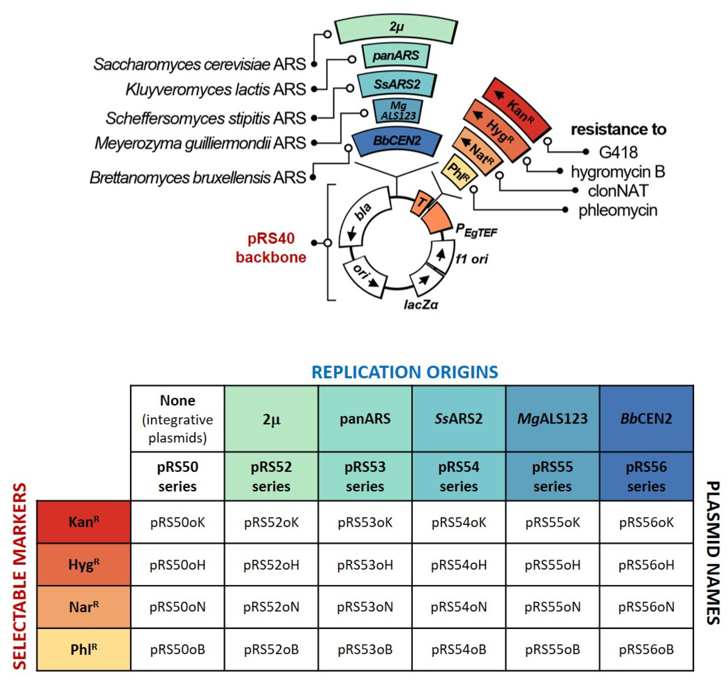 Jof 08 00531 g003 Jof 08 00531 g003
