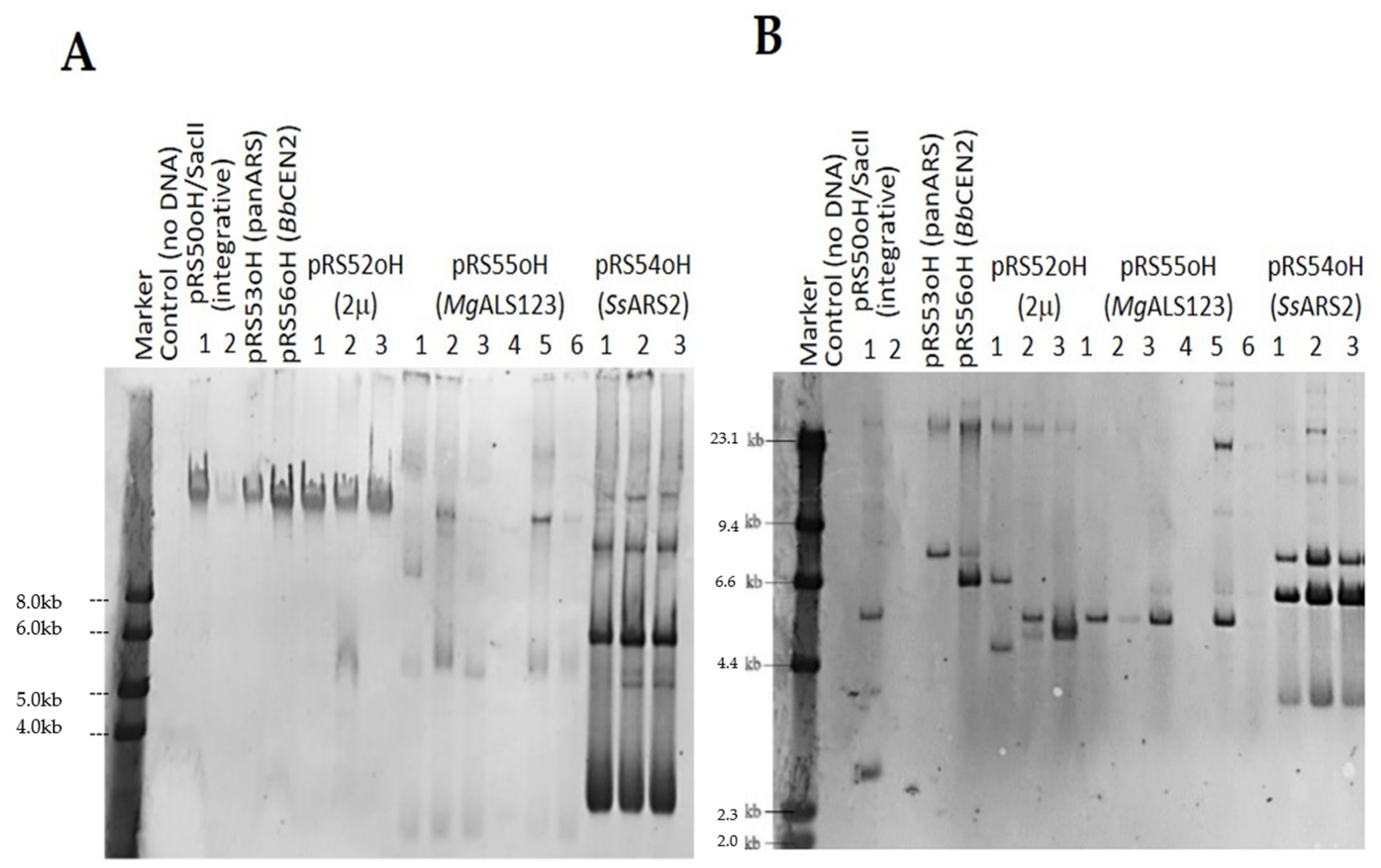 Jof 08 00531 g004 Jof 08 00531 g004