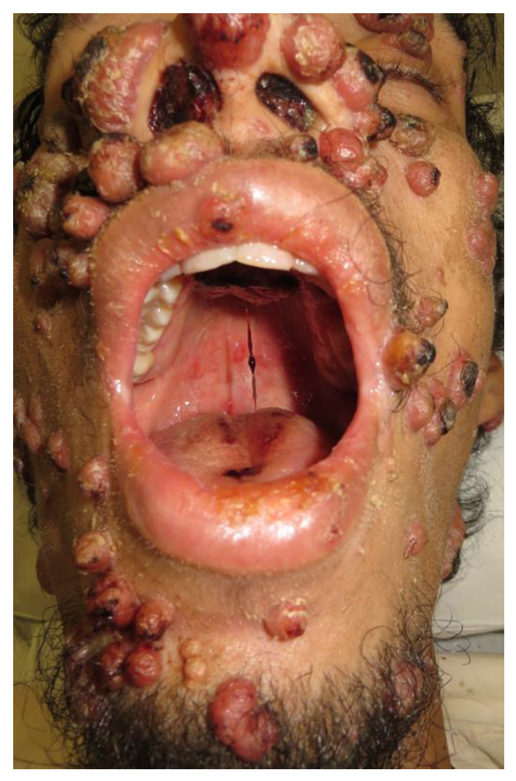 Jof 08 00536 g002 550