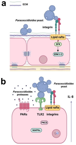 Jof 08 00548 g002 550