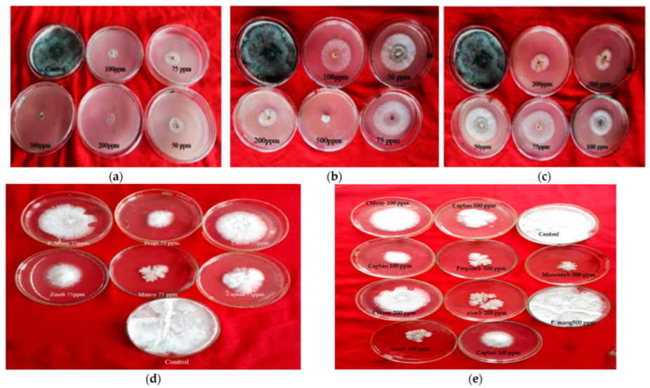 Jof 08 00554 g001 550