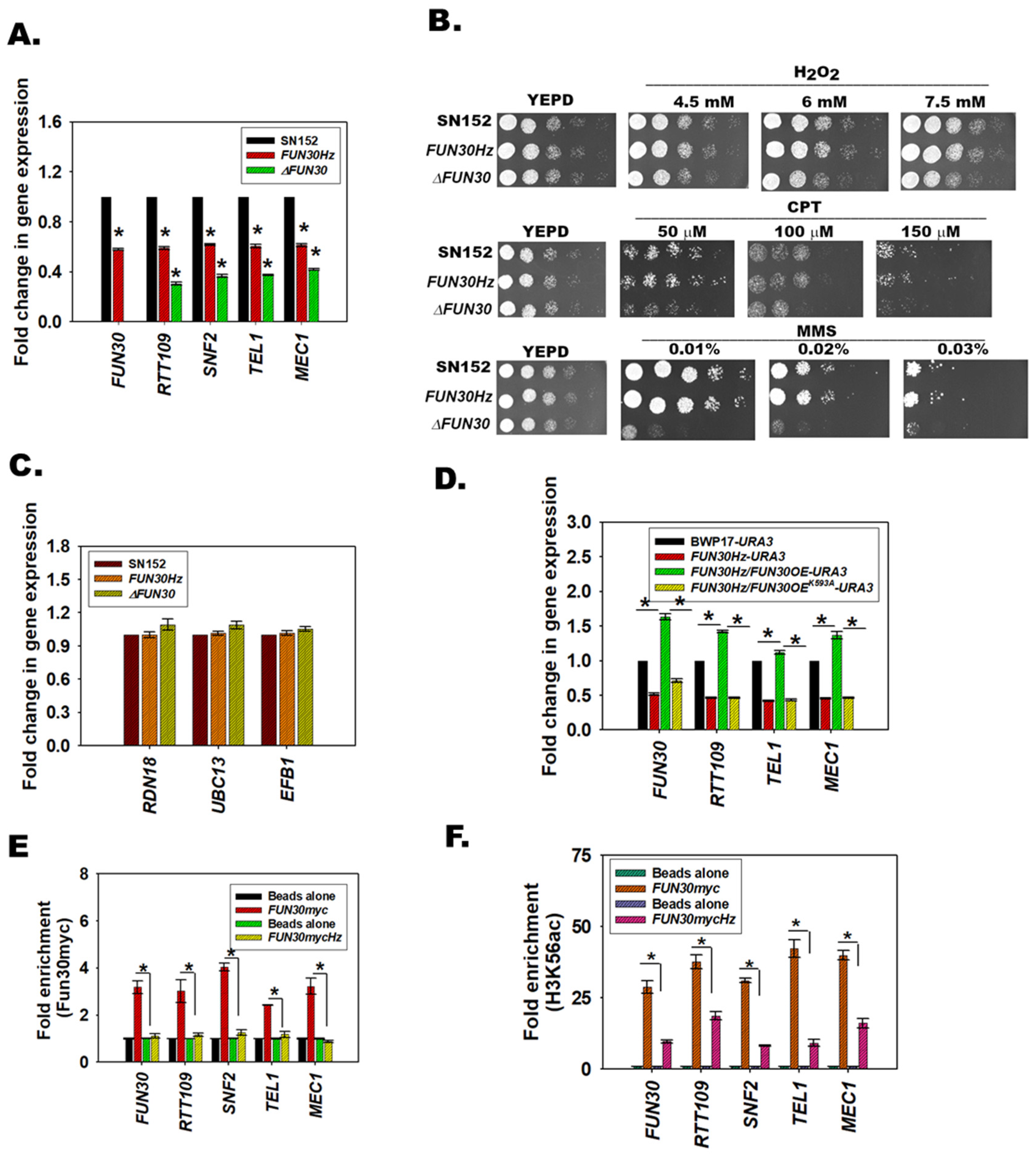 Jof 08 00559 g003 550