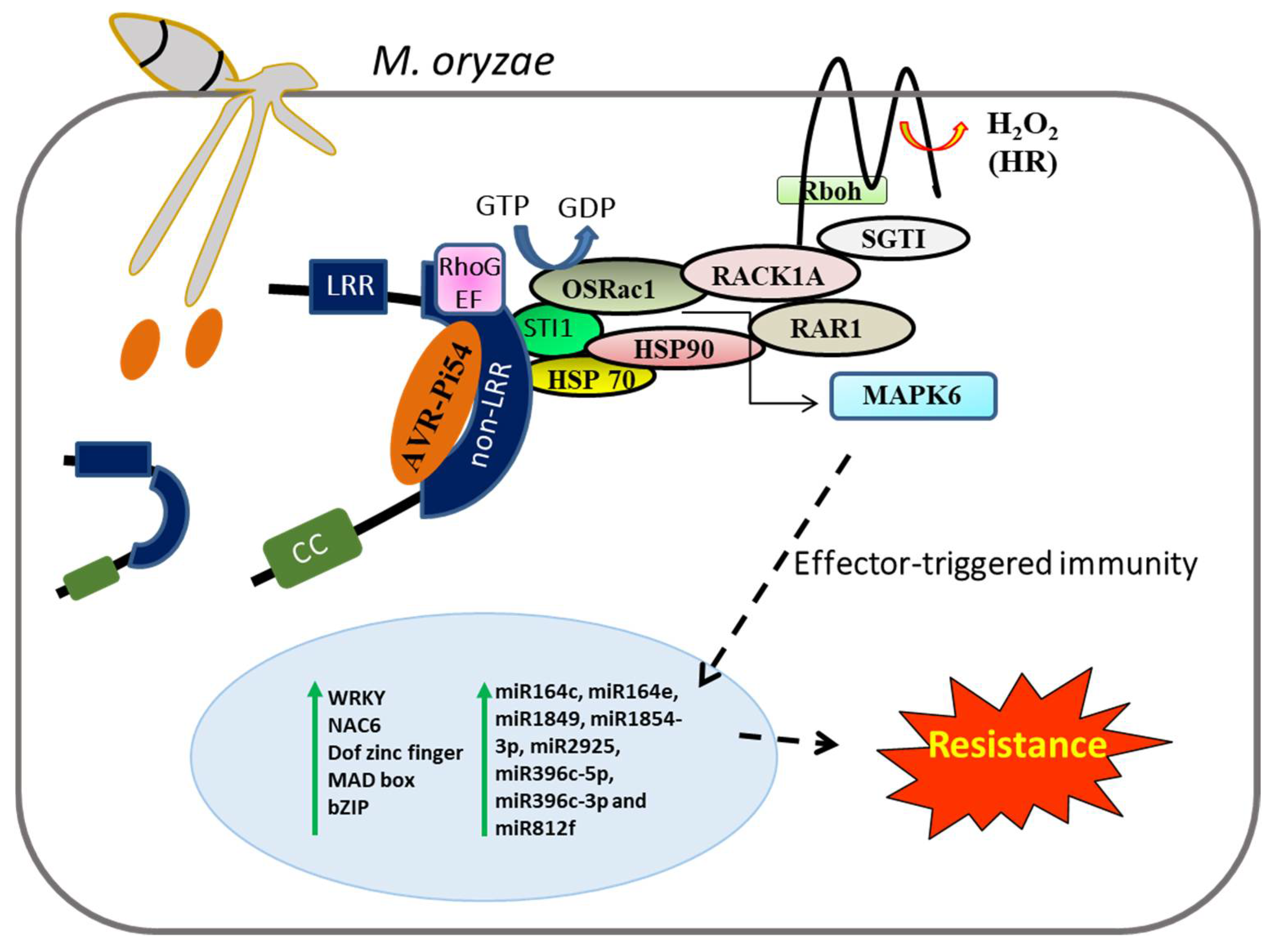 JoF Free FullText Understanding the Dynamics of Blast Resistance
