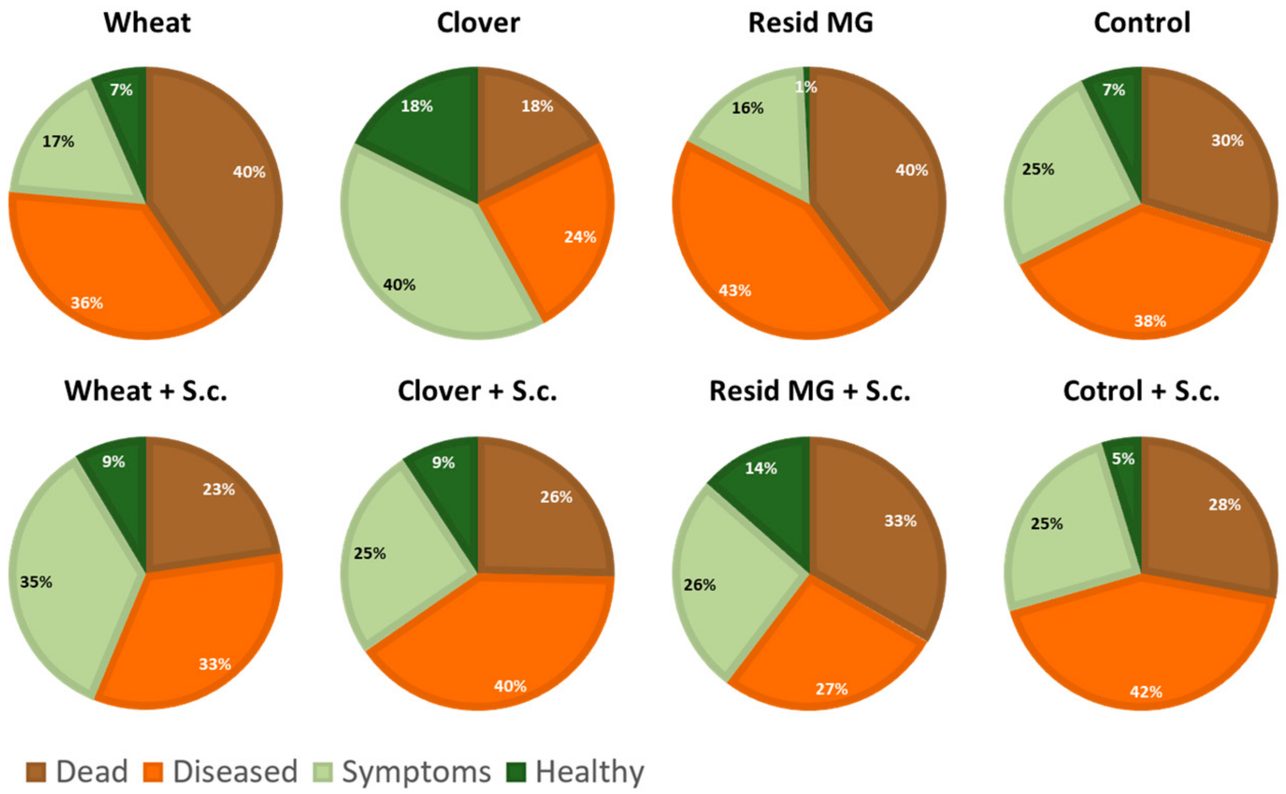 Crop Rotation and Minimal Tillage Selectively Affect Maize