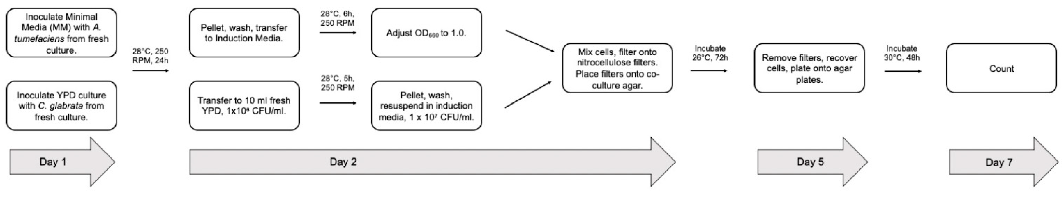 Jof 08 00596 g001 Jof 08 00596 g001