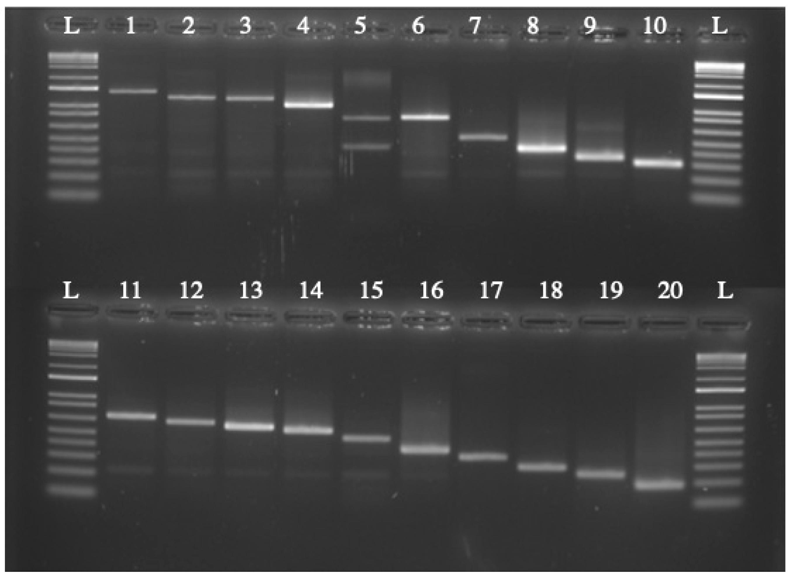 Jof 08 00596 g006 Jof 08 00596 g006