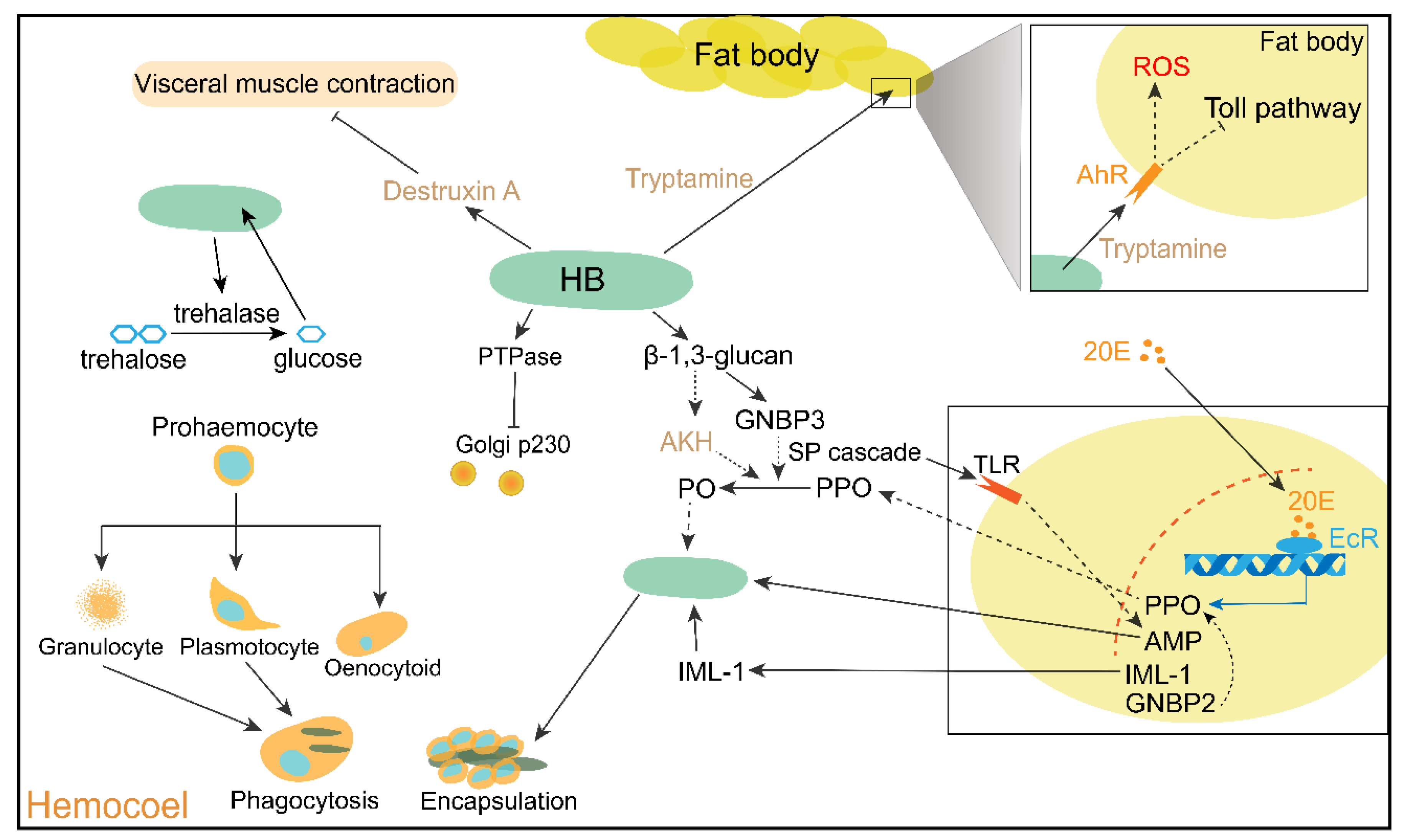 Jof 08 00602 g003 Jof 08 00602 g003