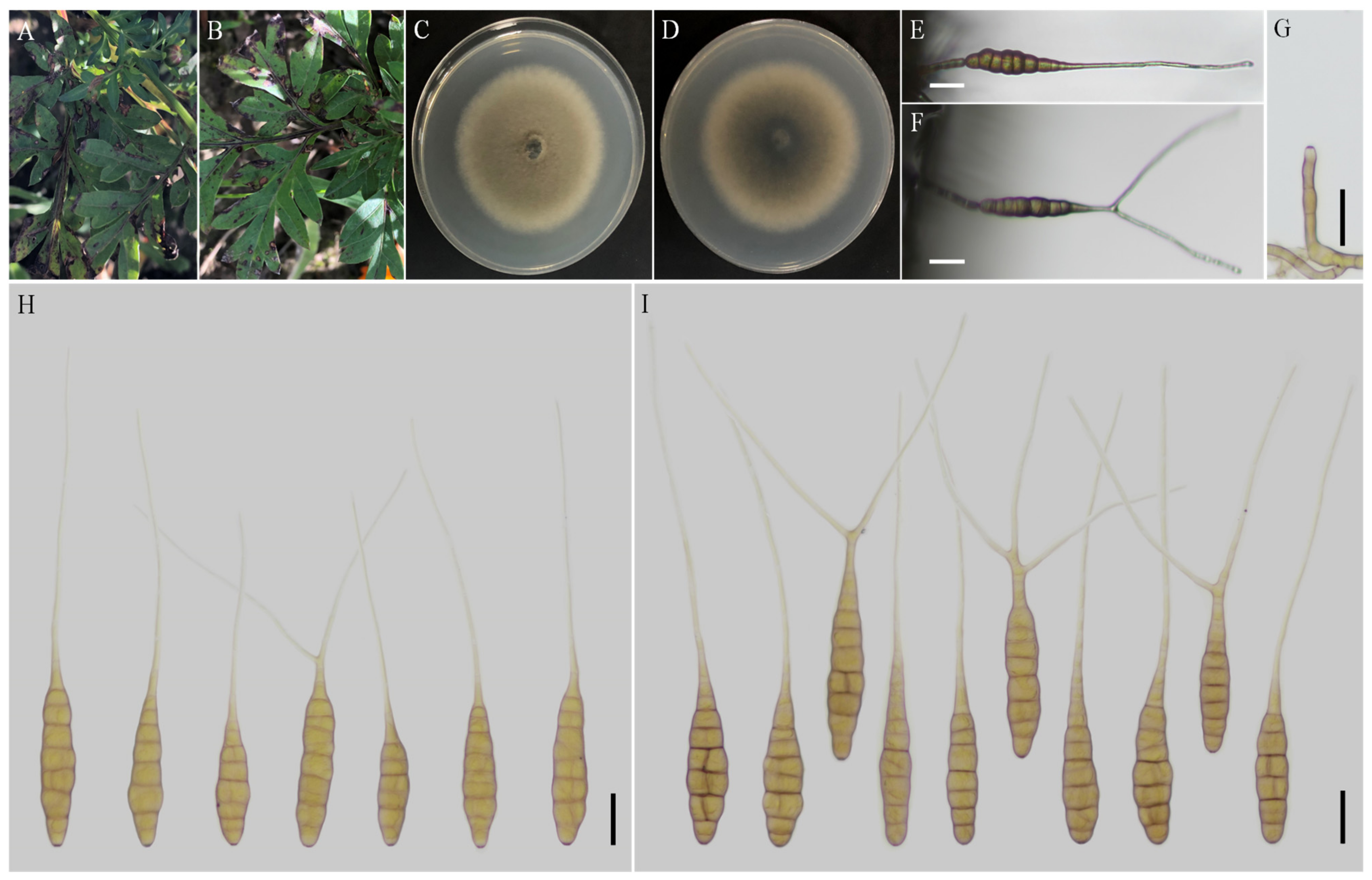 Jof 08 00607 g006 550