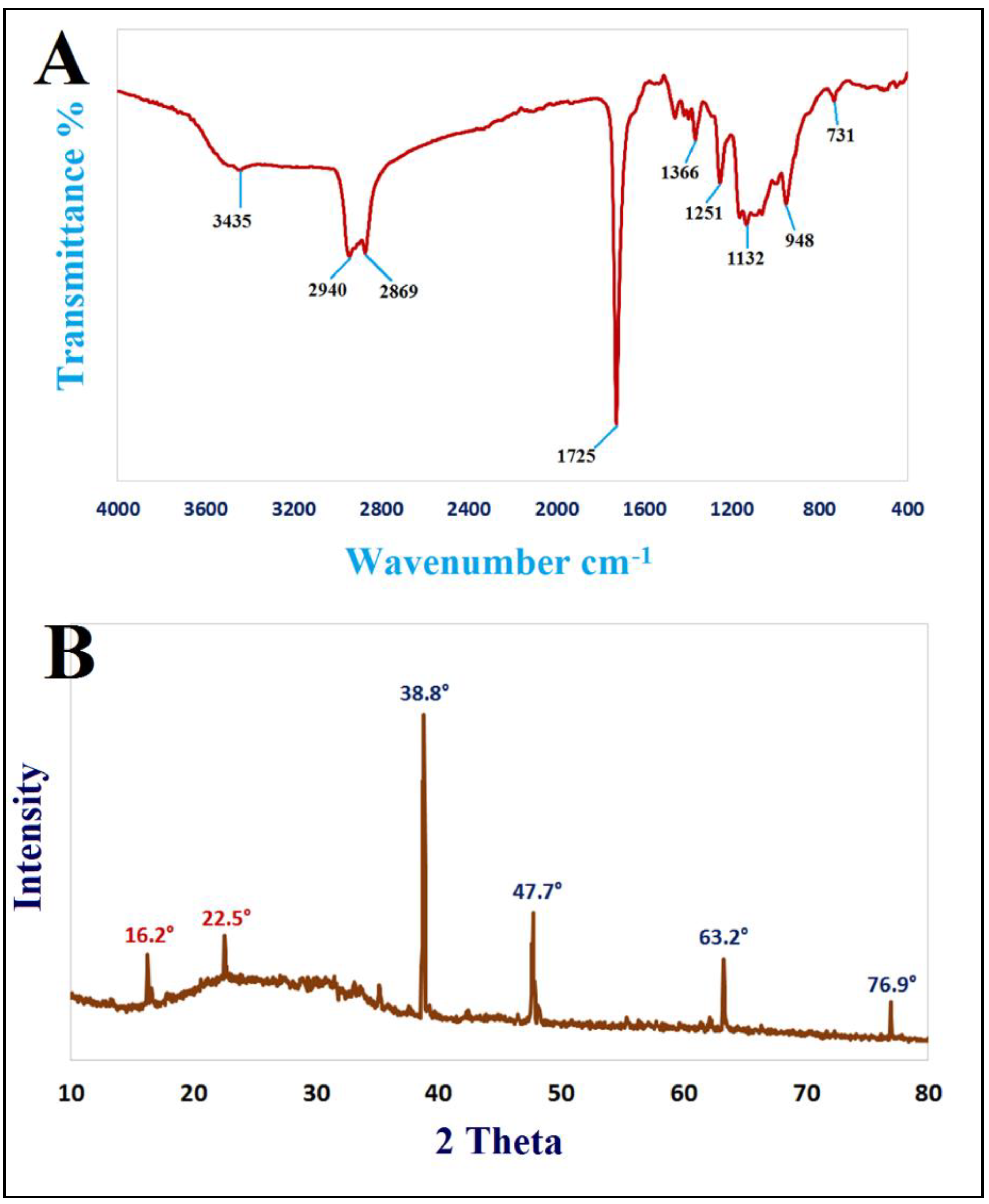 Jof 08 00612 g001 550