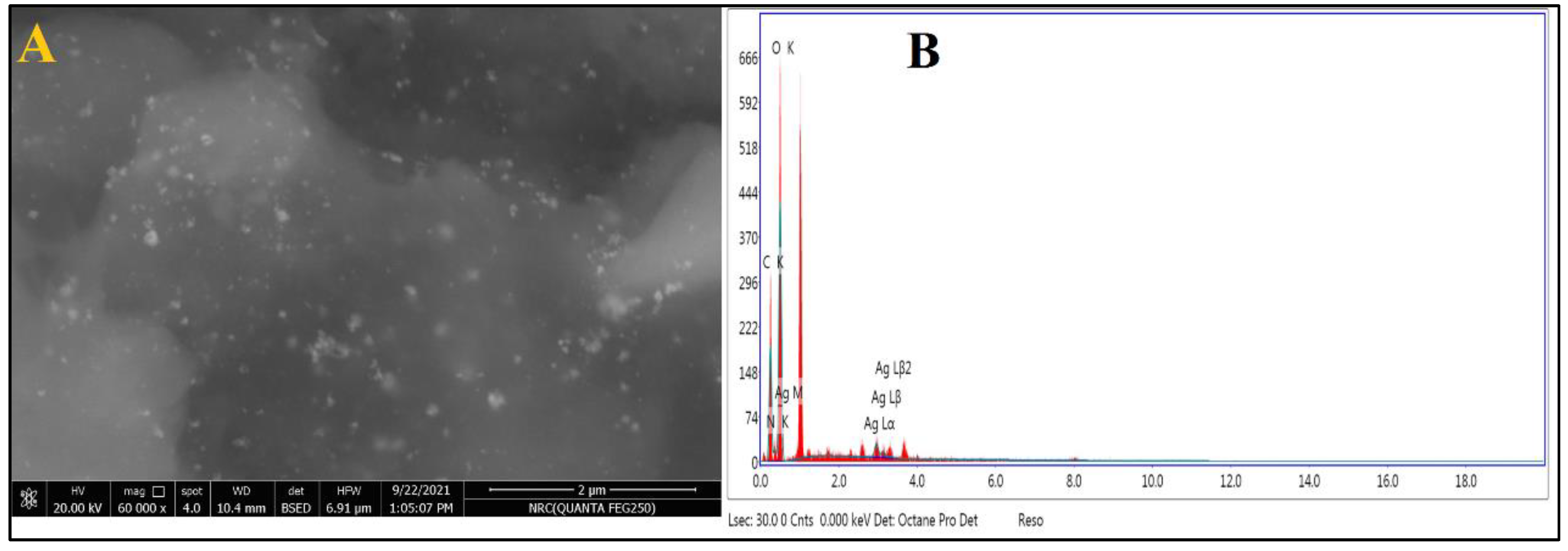 Jof 08 00612 g003 550
