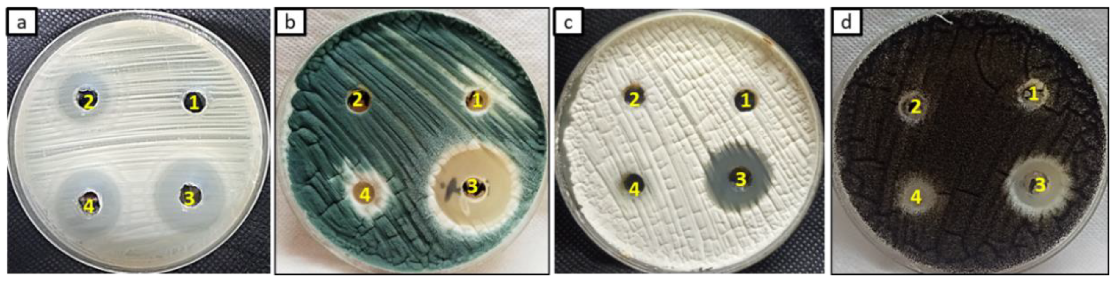 Jof 08 00612 g006 550