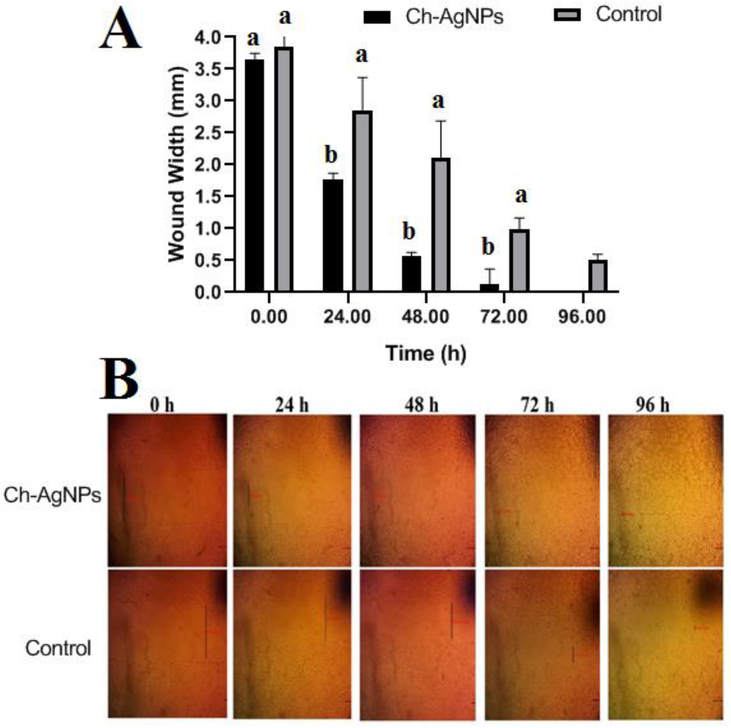 Jof 08 00612 g009 550