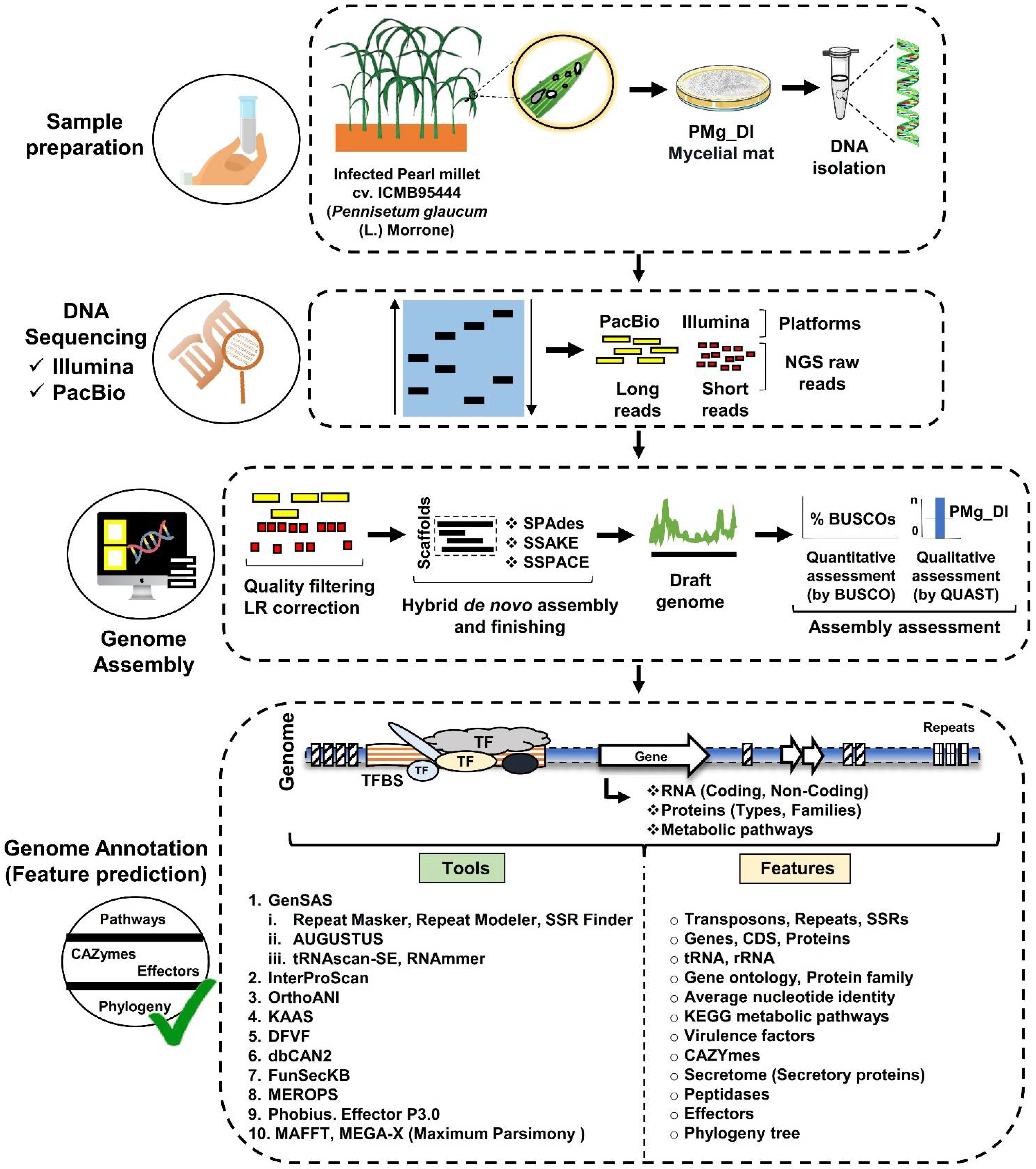 Jof 08 00614 g001 550