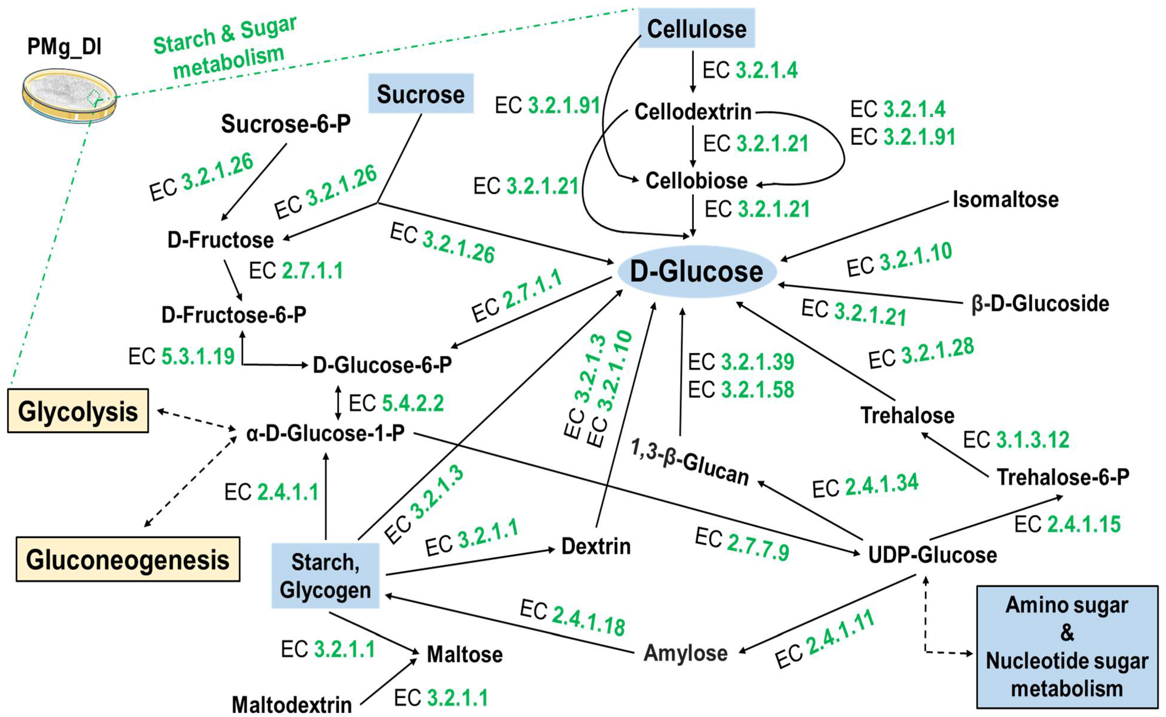 Jof 08 00614 g007 550