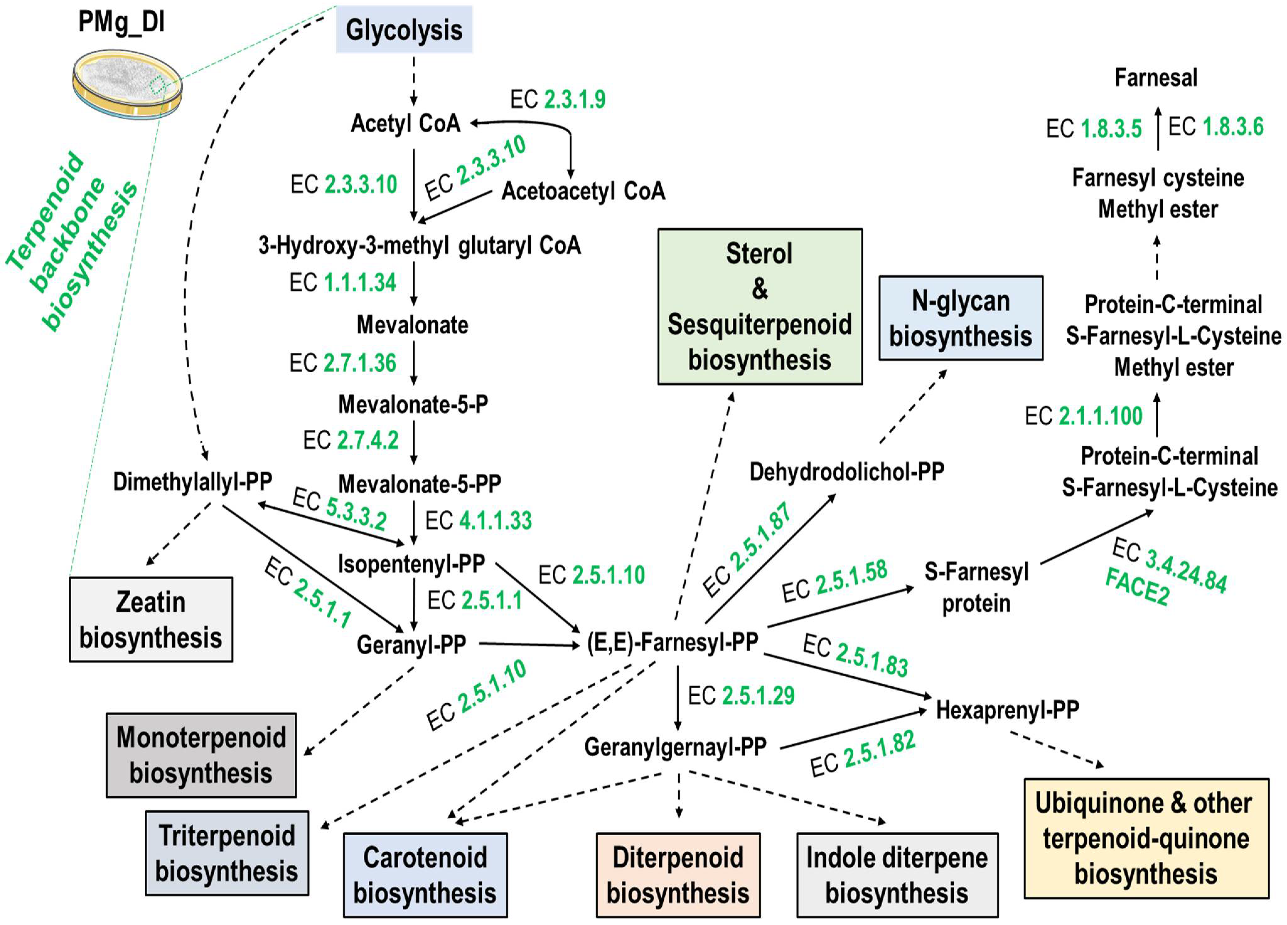 Jof 08 00614 g009 550