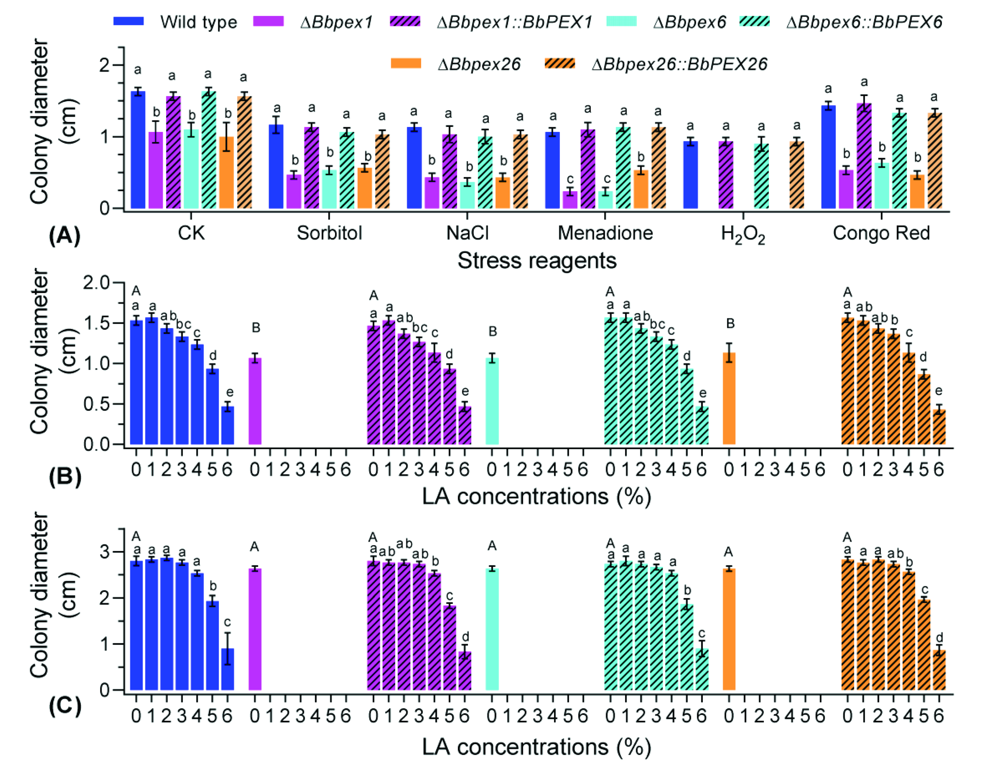 Jof 08 00622 g004 Jof 08 00622 g004