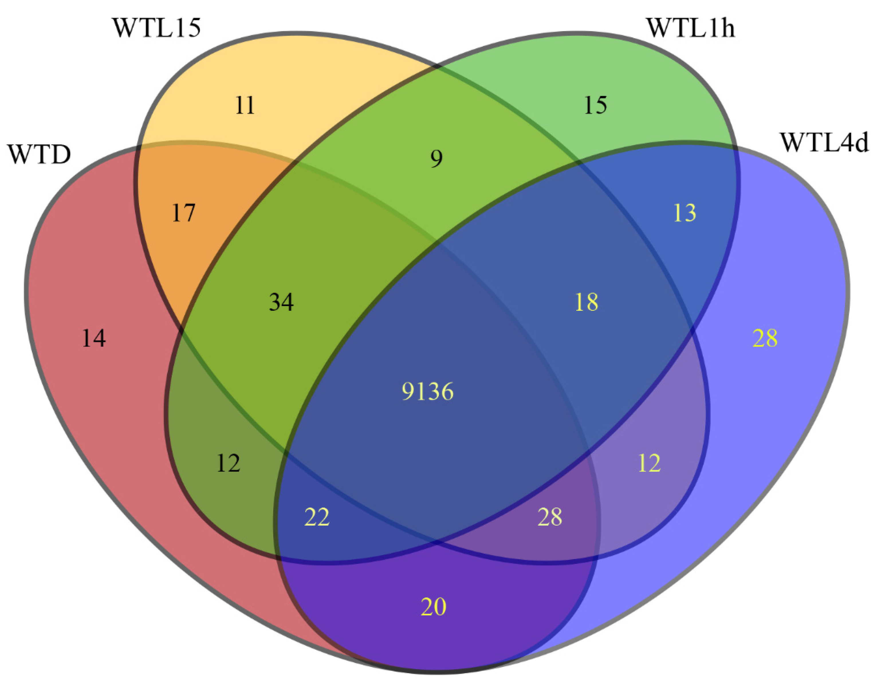 Jof 08 00624 g001 Jof 08 00624 g001
