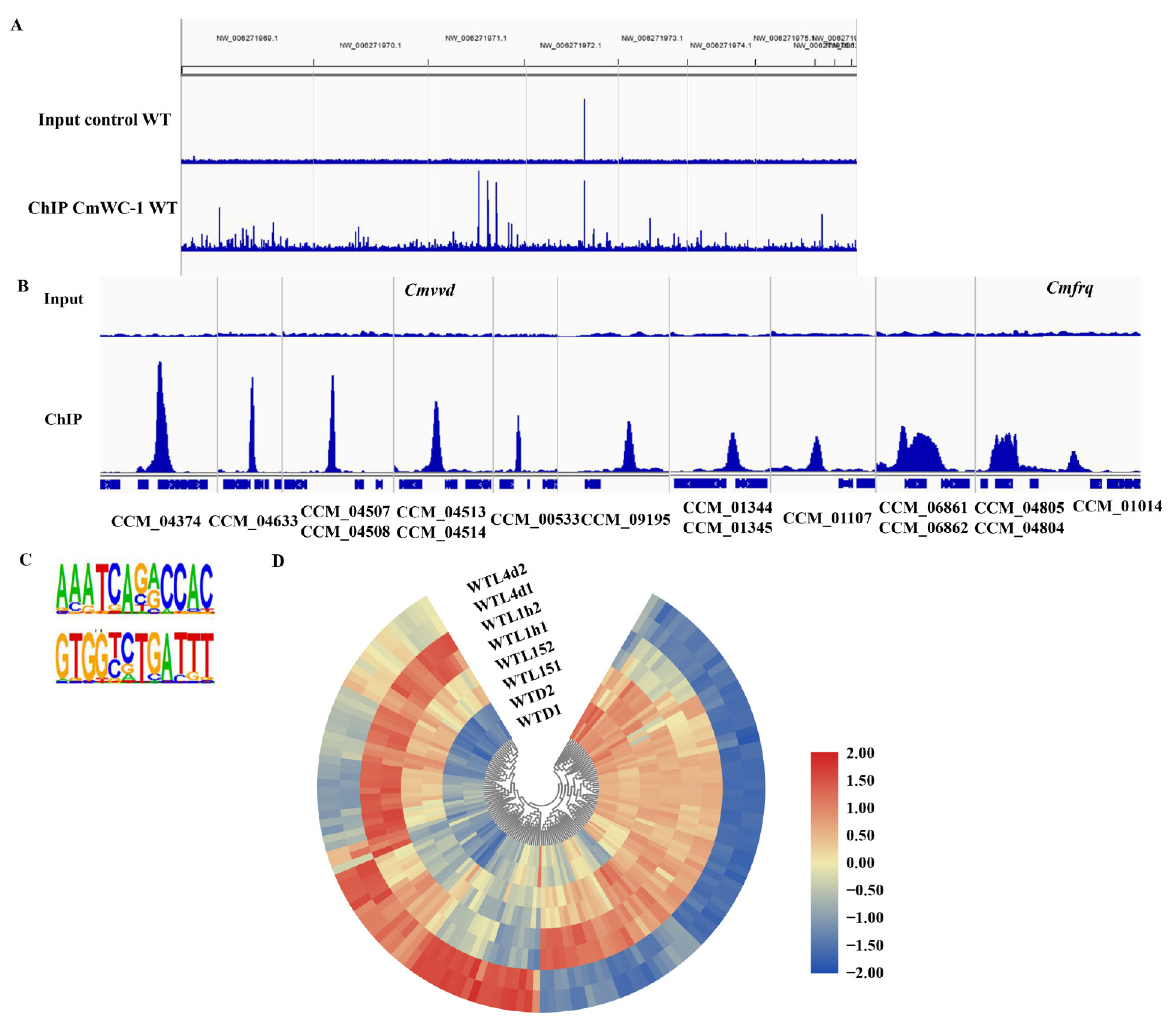 Jof 08 00624 g007 Jof 08 00624 g007