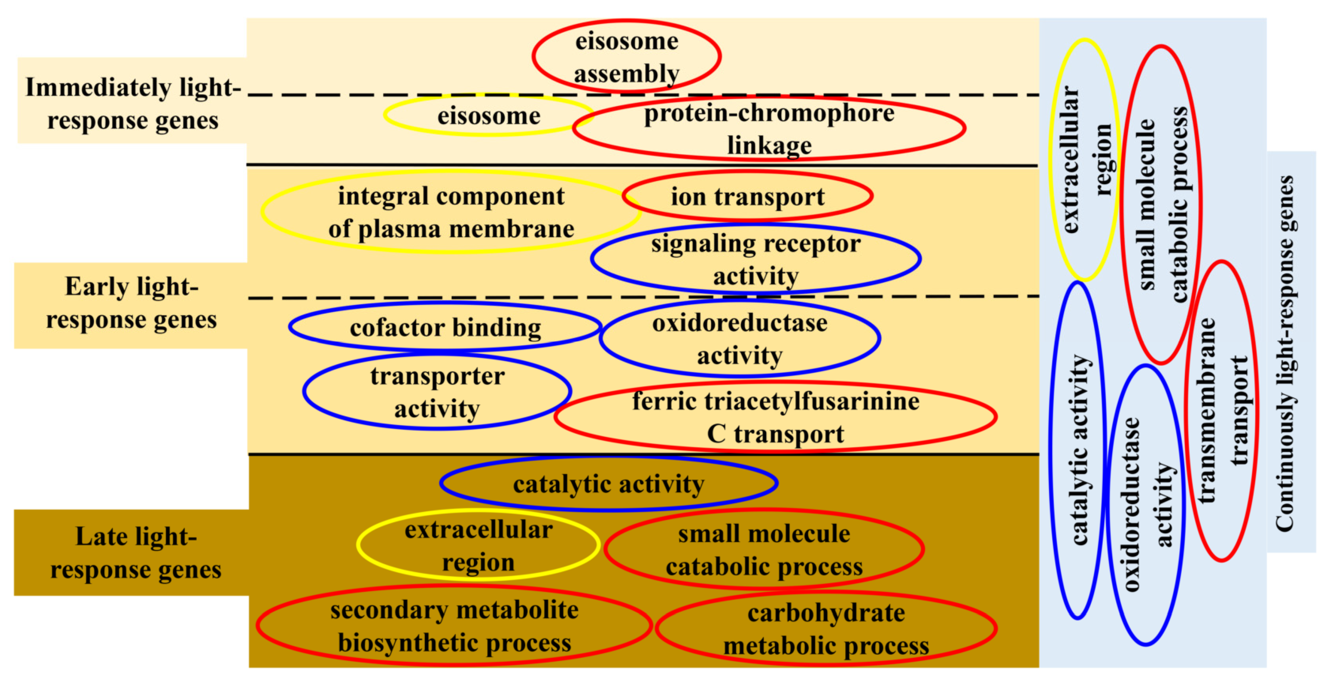 Jof 08 00624 g011 Jof 08 00624 g011
