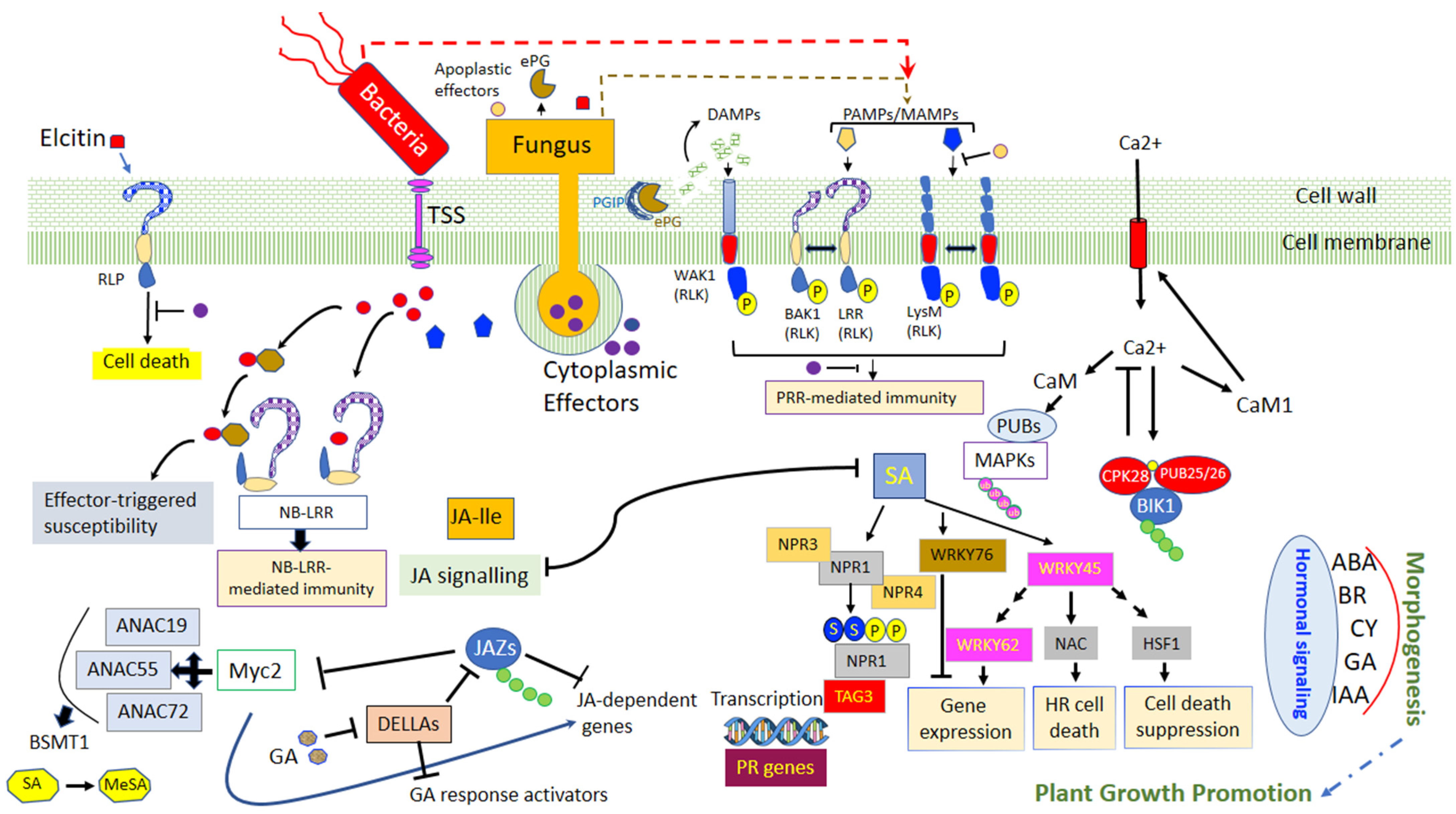 Jof 08 00632 g002 Jof 08 00632 g002