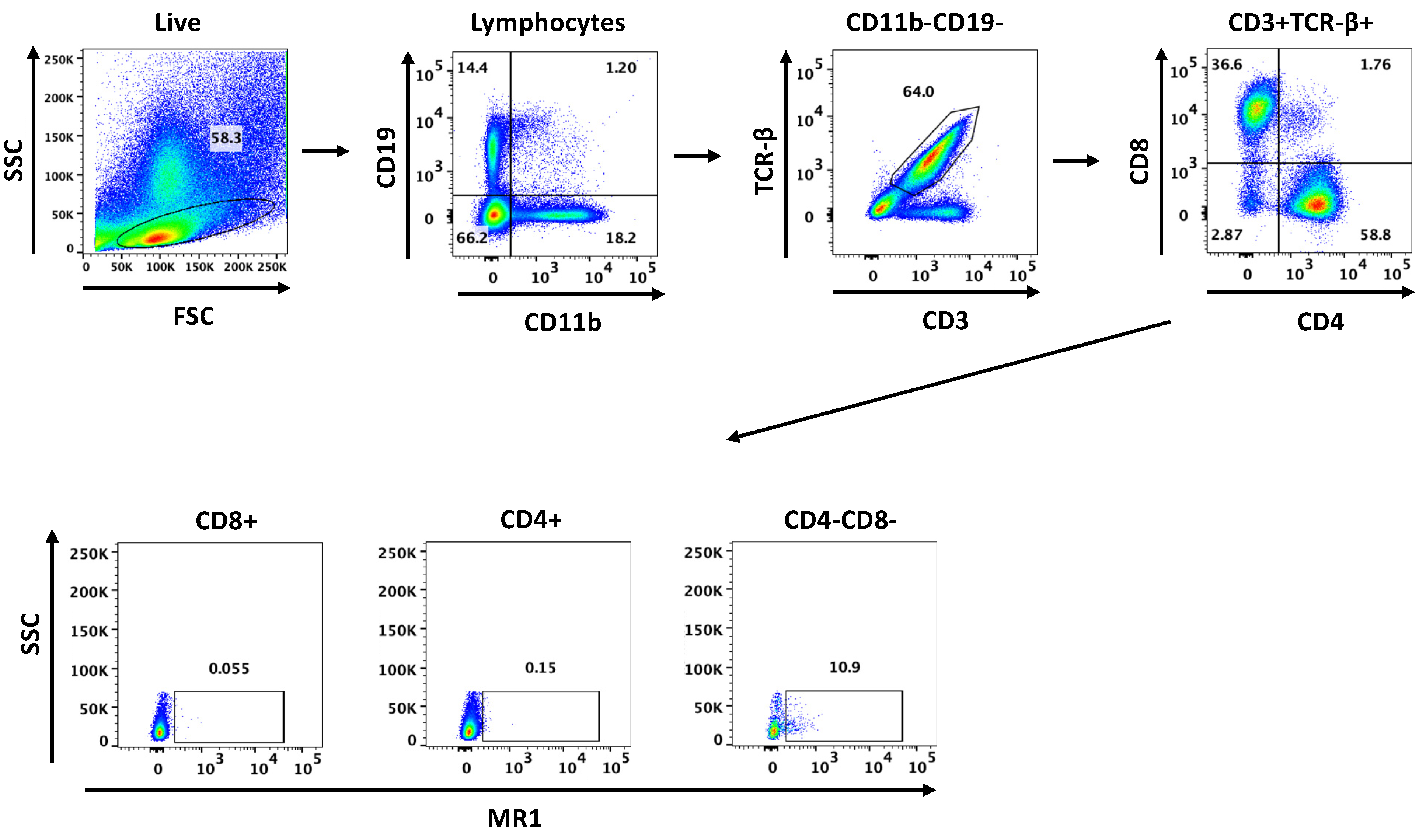 Jof 08 00645 g001 Jof 08 00645 g001