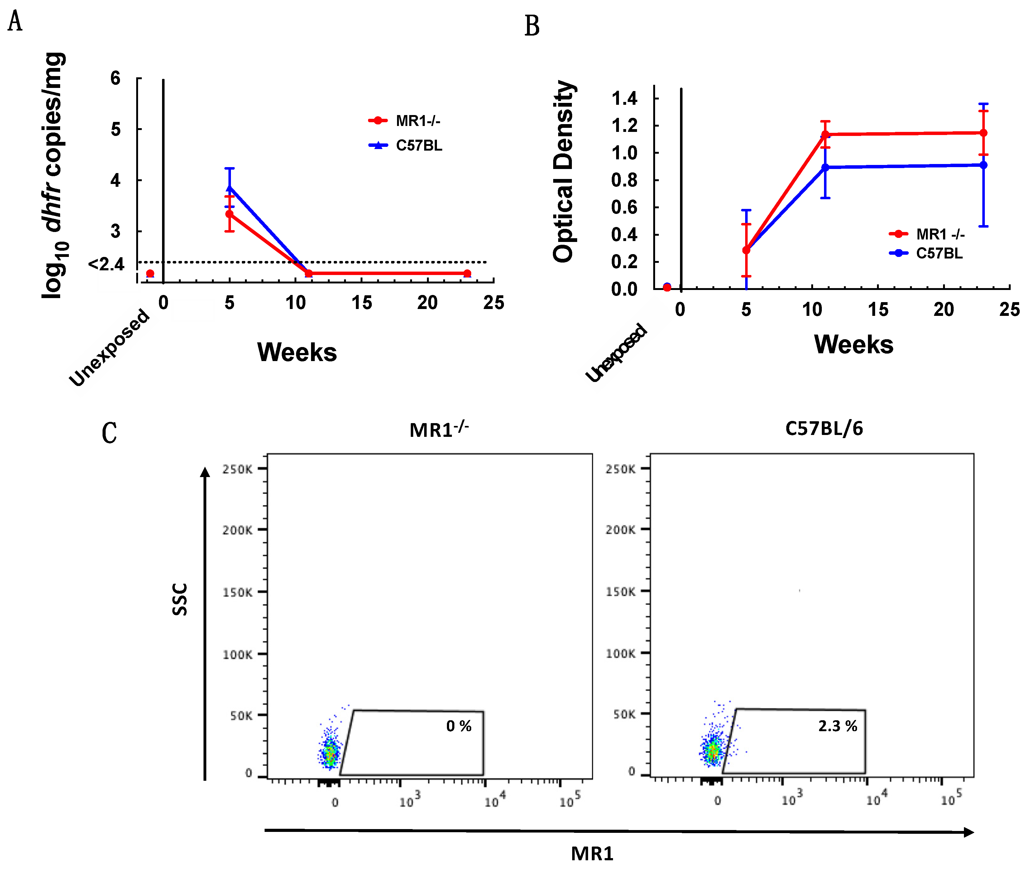 Jof 08 00645 g003 Jof 08 00645 g003
