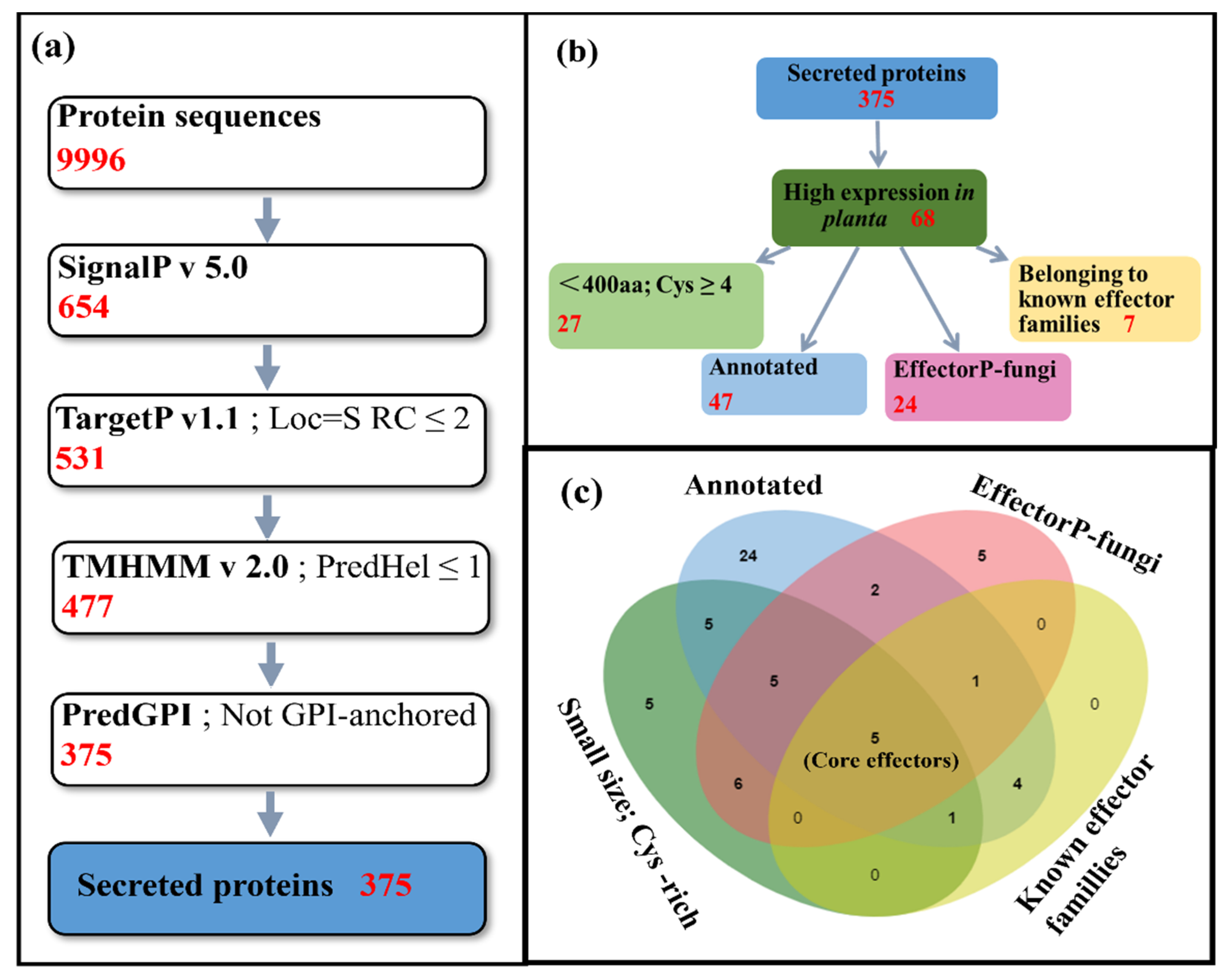 Jof 08 00646 g001 Jof 08 00646 g001