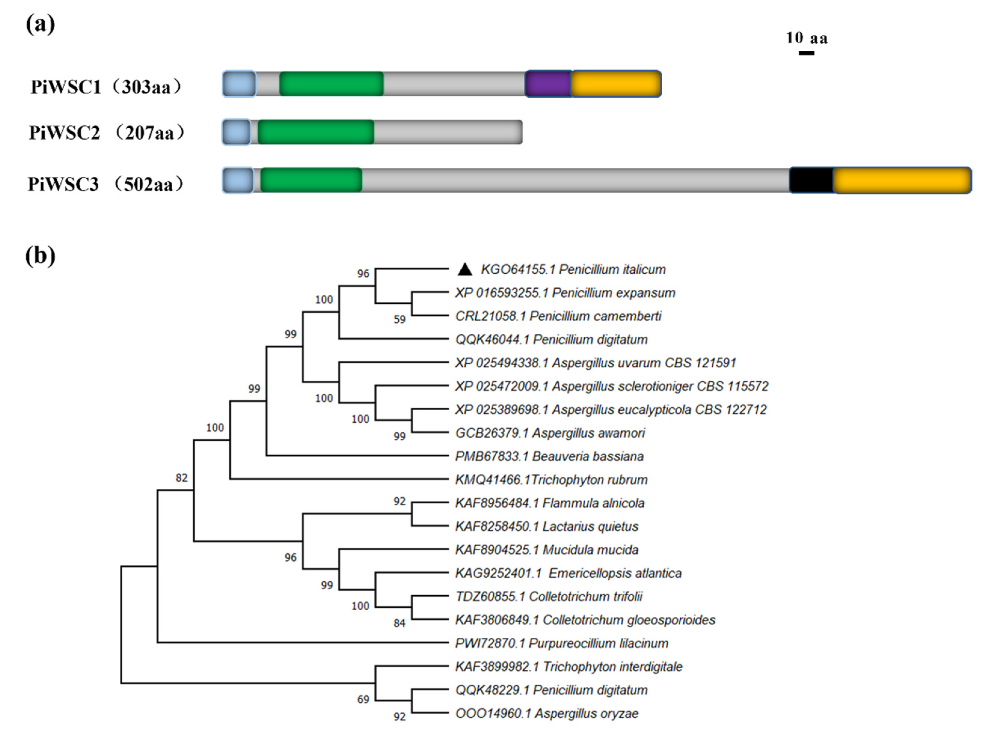 Jof 08 00646 g004 Jof 08 00646 g004