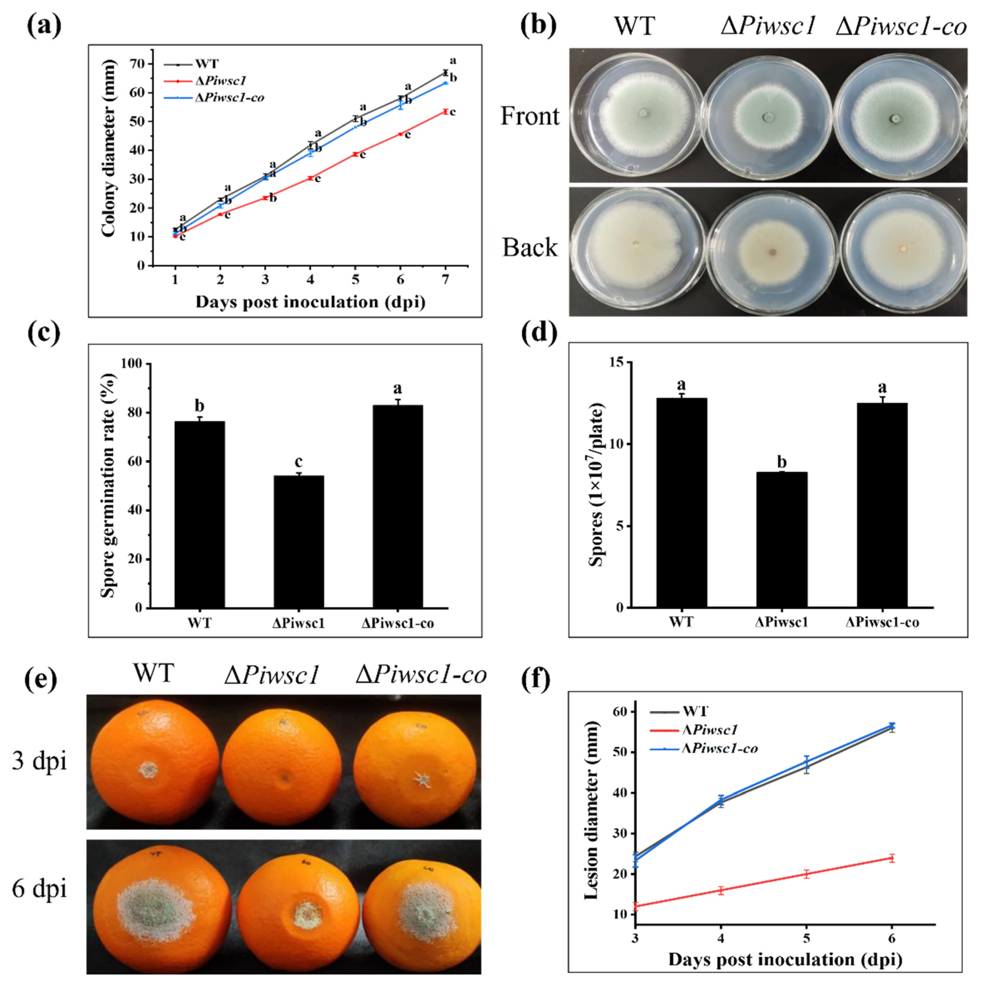 Jof 08 00646 g005 Jof 08 00646 g005