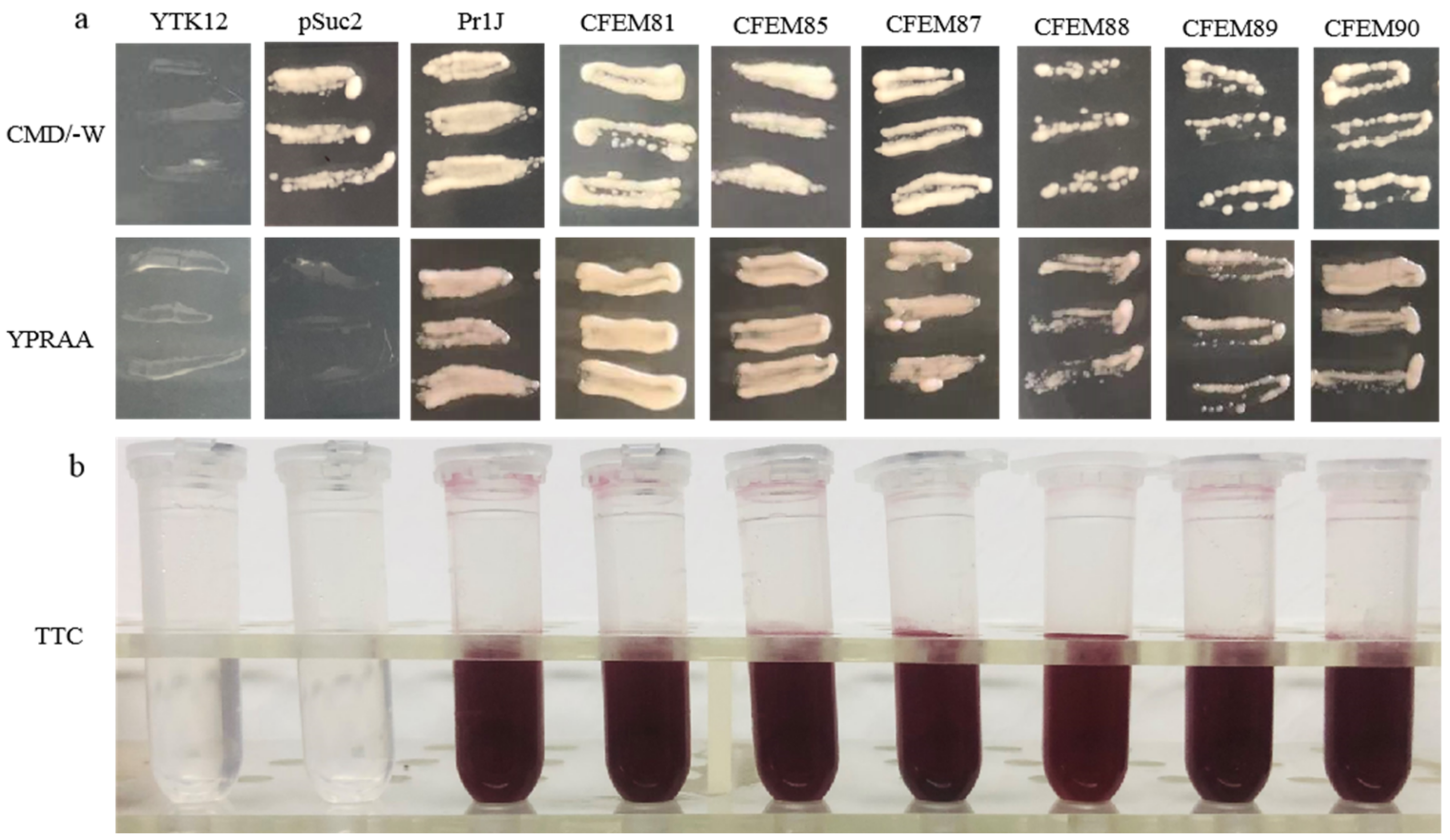 Jof 08 00661 g007 550