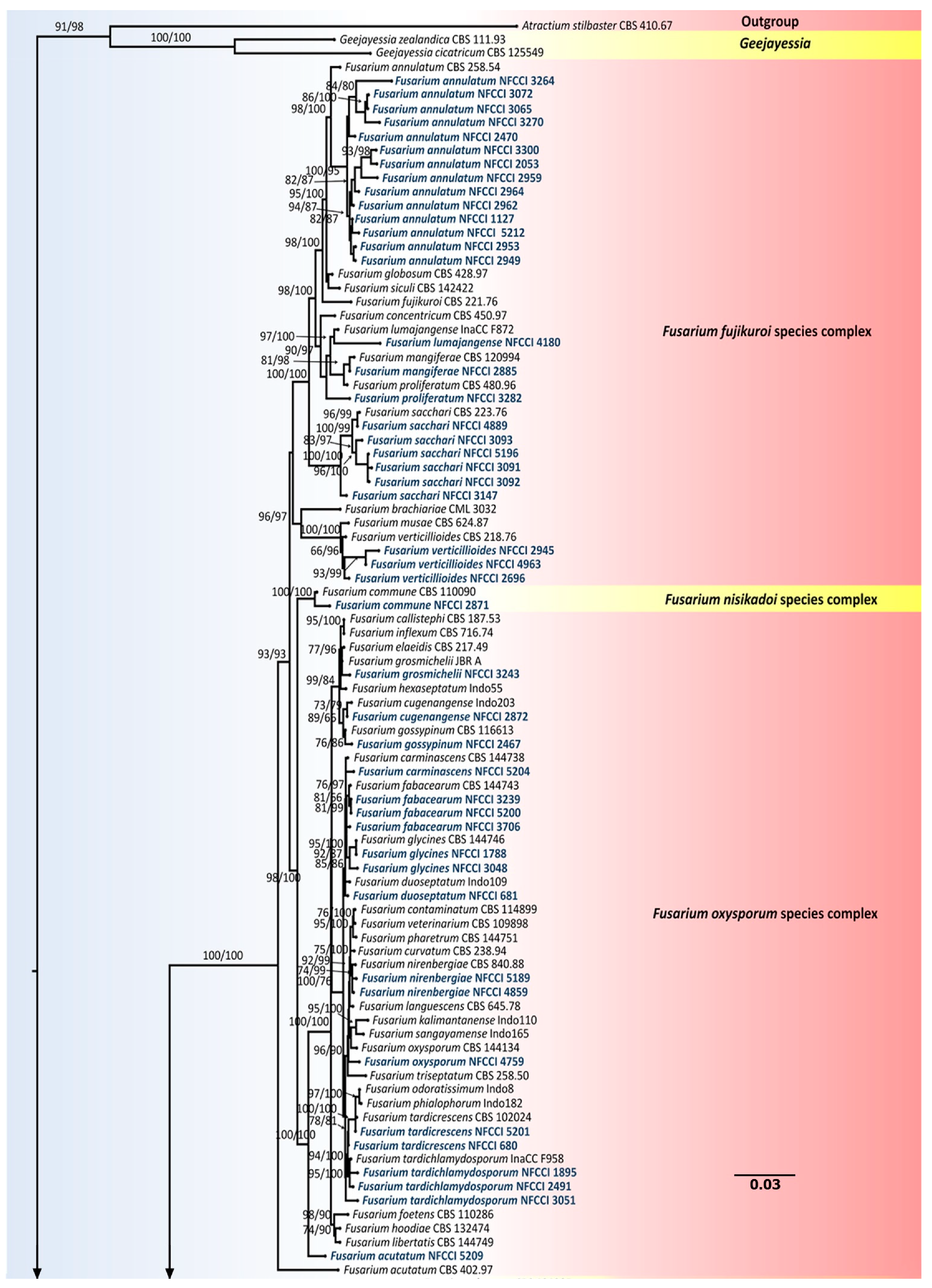 Jof 08 00662 g003a Jof 08 00662 g003a