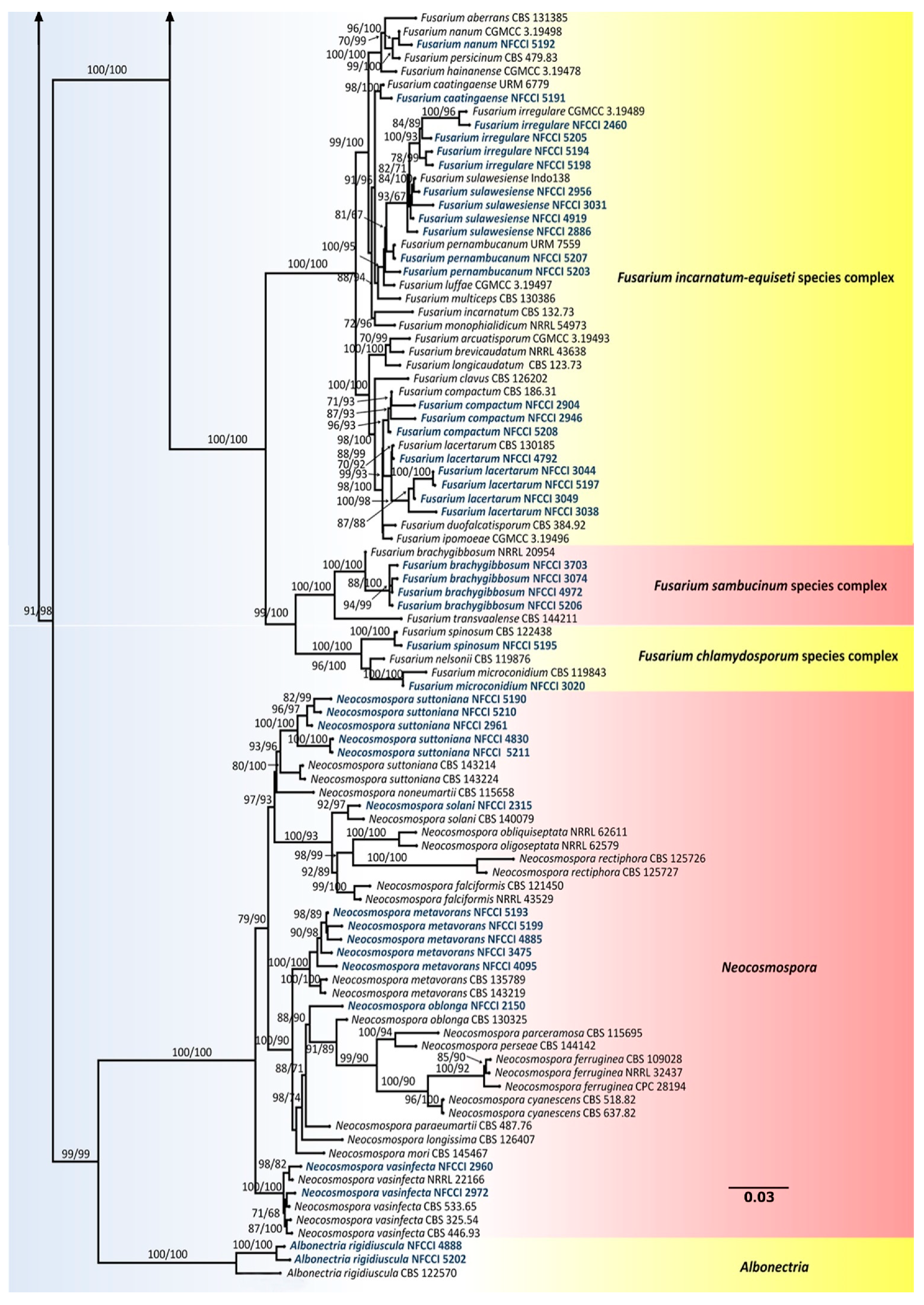 Jof 08 00662 g003b Jof 08 00662 g003b