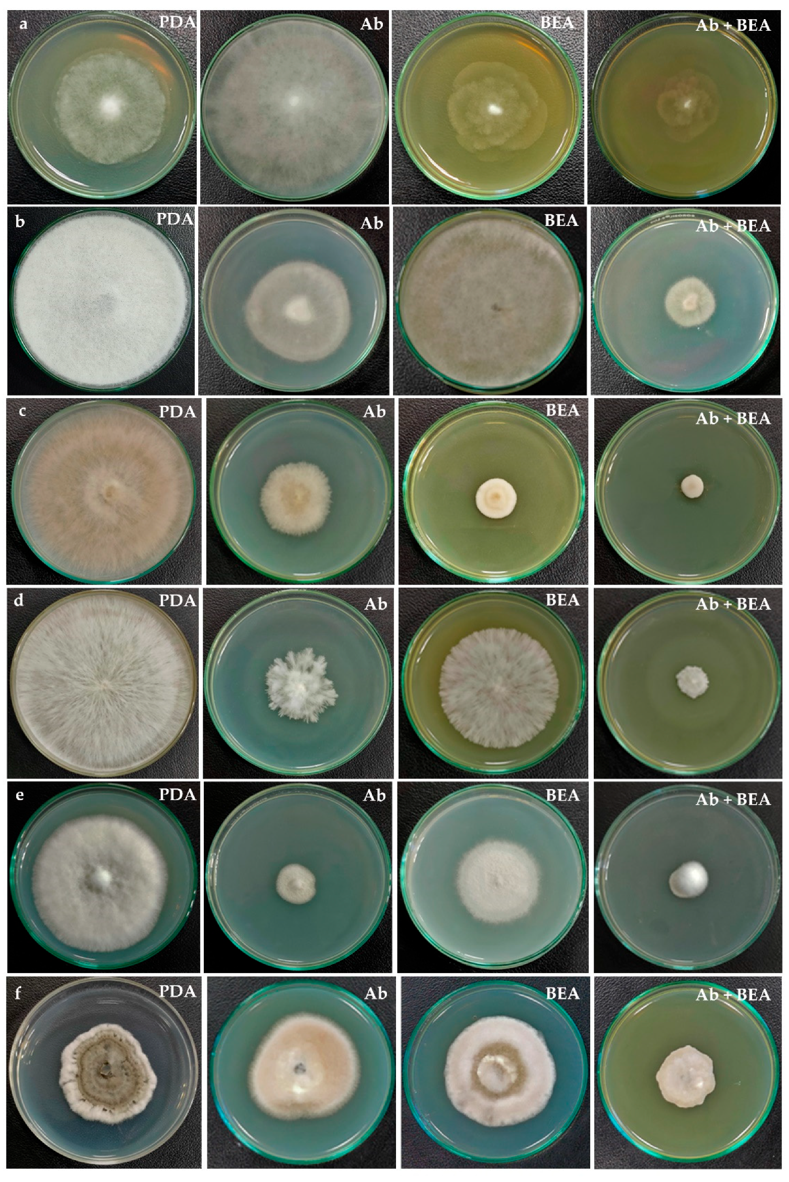 Jof 08 00662 g009 Jof 08 00662 g009