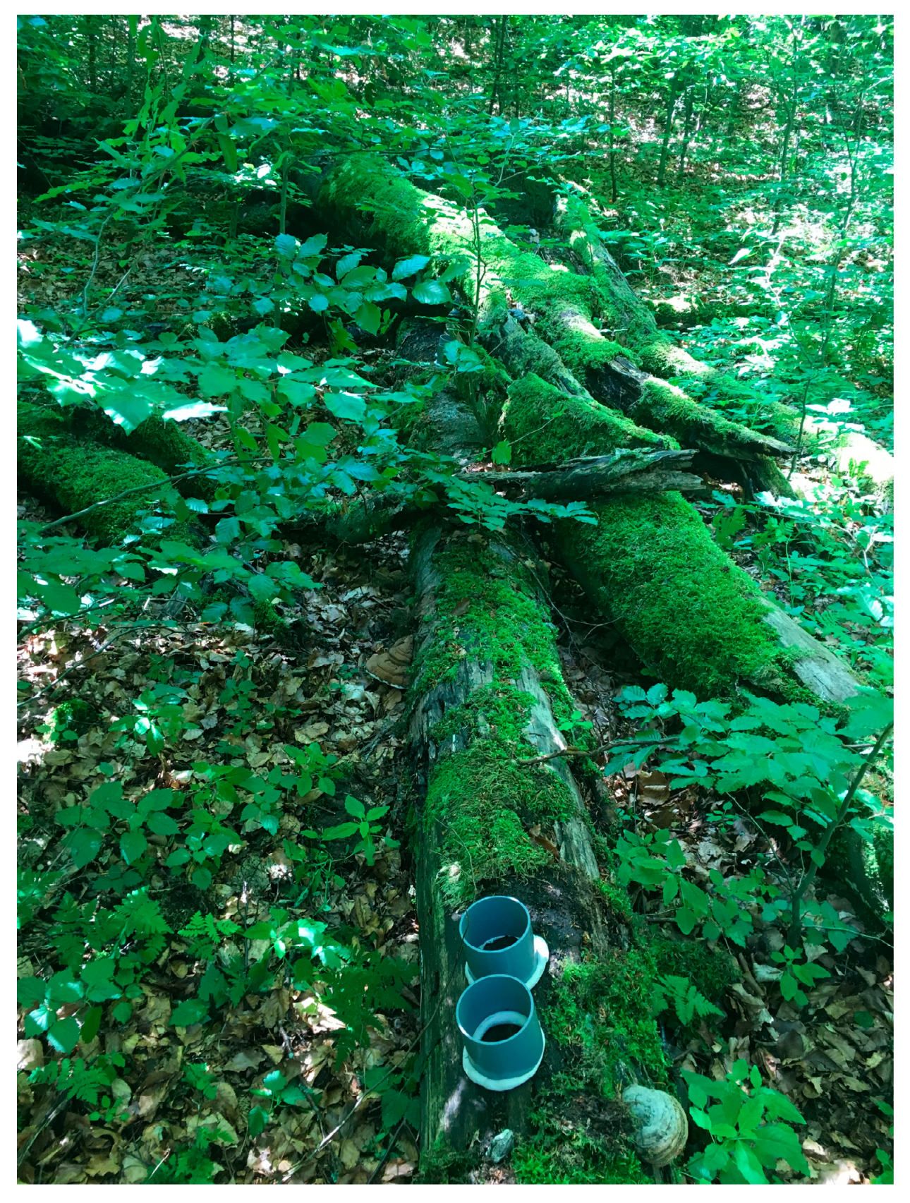 Jof 08 00673 g001 550