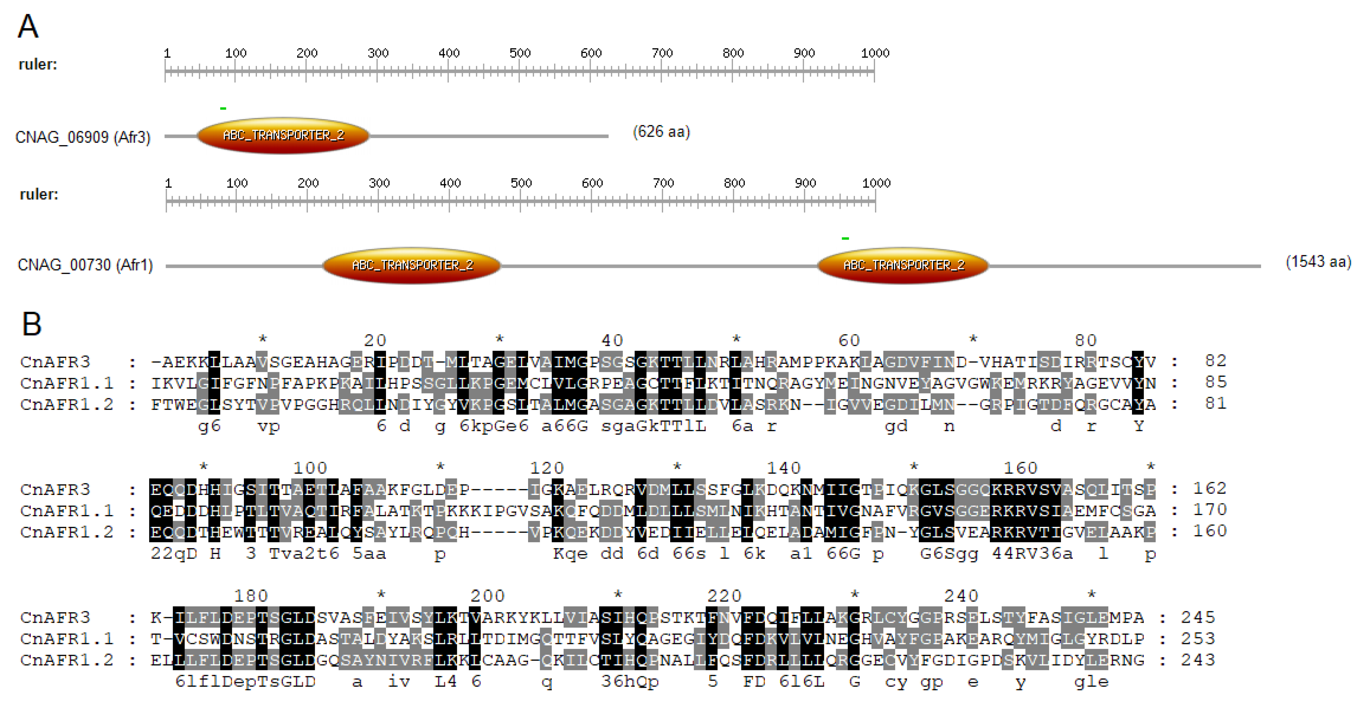 Jof 08 00677 g001 Jof 08 00677 g001