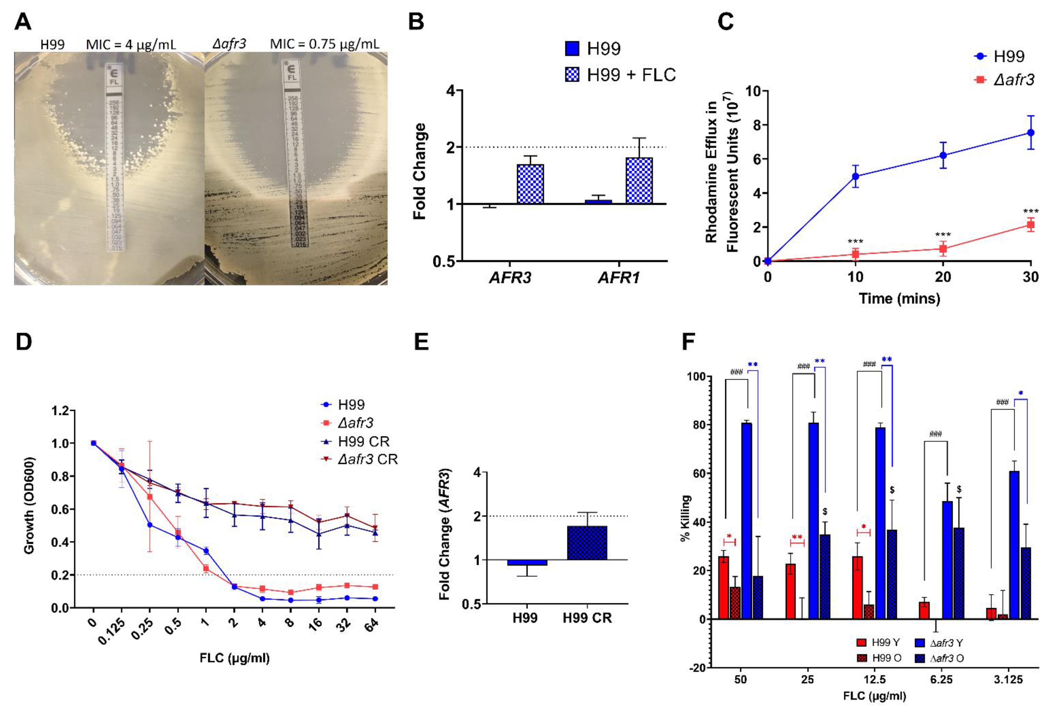 Jof 08 00677 g002 Jof 08 00677 g002