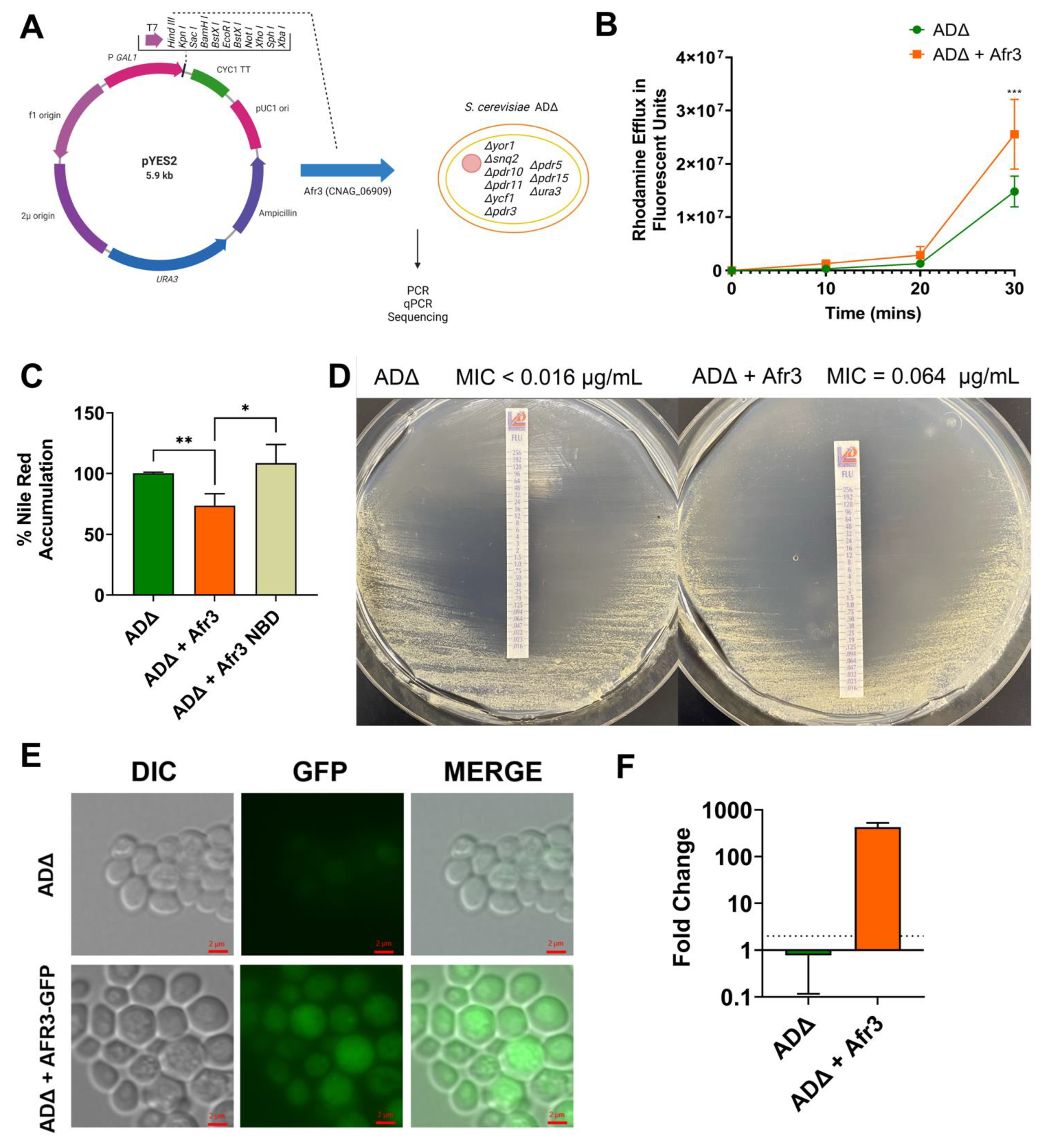 Jof 08 00677 g003 Jof 08 00677 g003