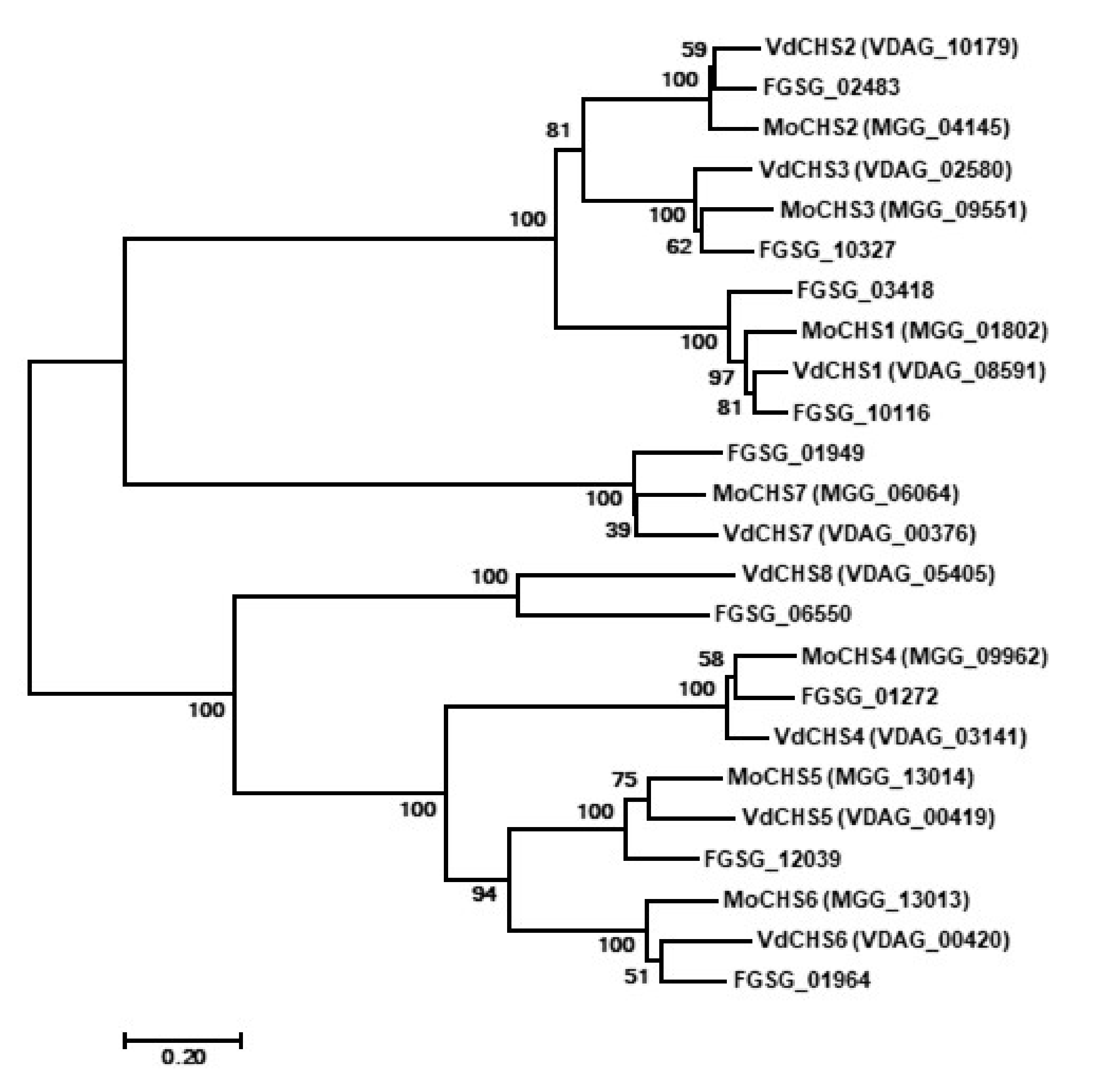 Jof 08 00681 g001 Jof 08 00681 g001