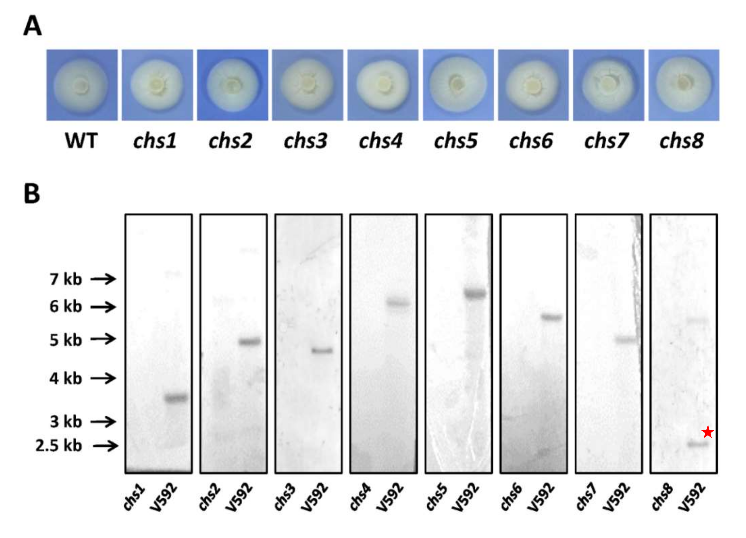 Jof 08 00681 g002 Jof 08 00681 g002