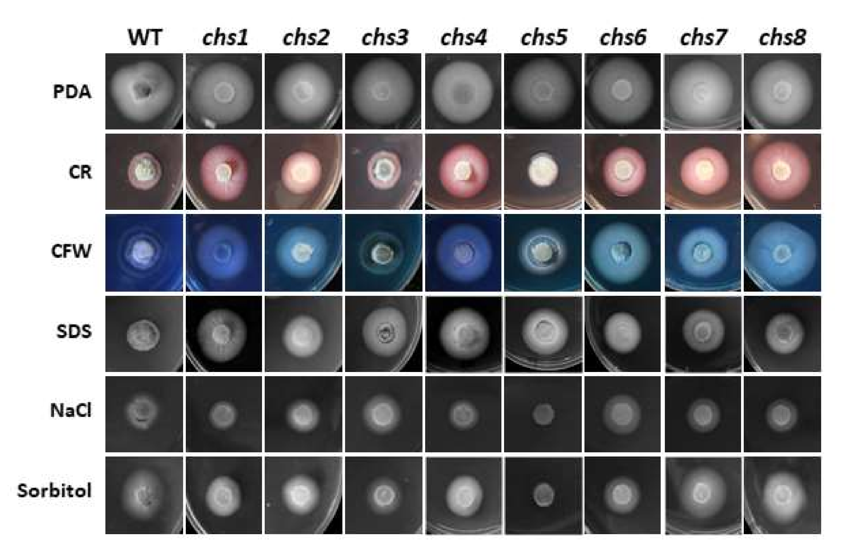 Jof 08 00681 g003 Jof 08 00681 g003