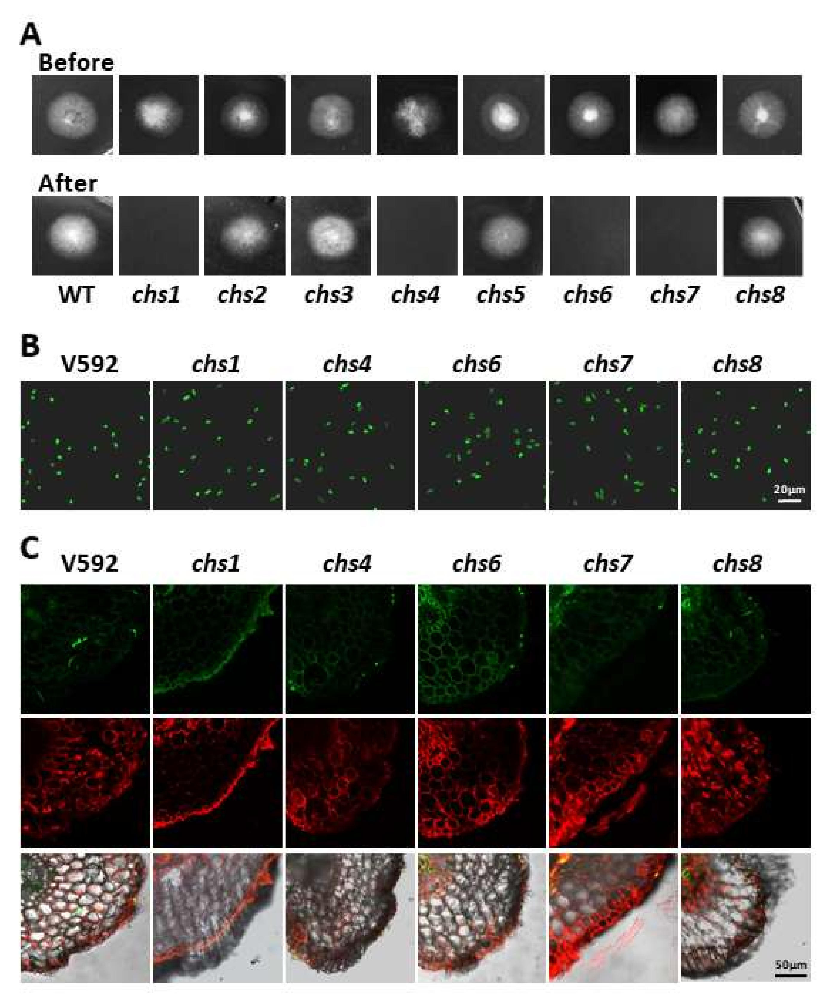 Jof 08 00681 g004 Jof 08 00681 g004