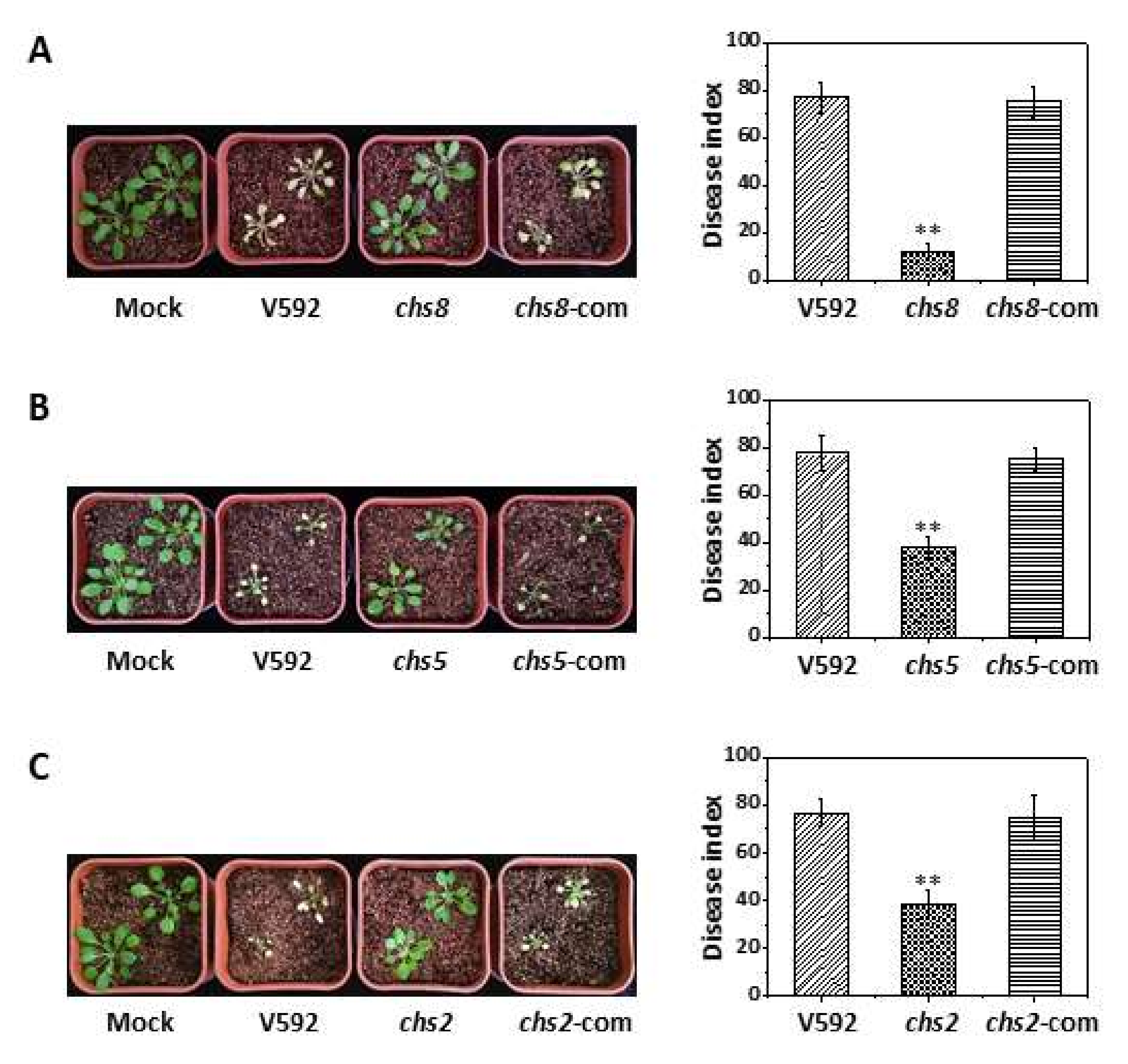Jof 08 00681 g005 Jof 08 00681 g005