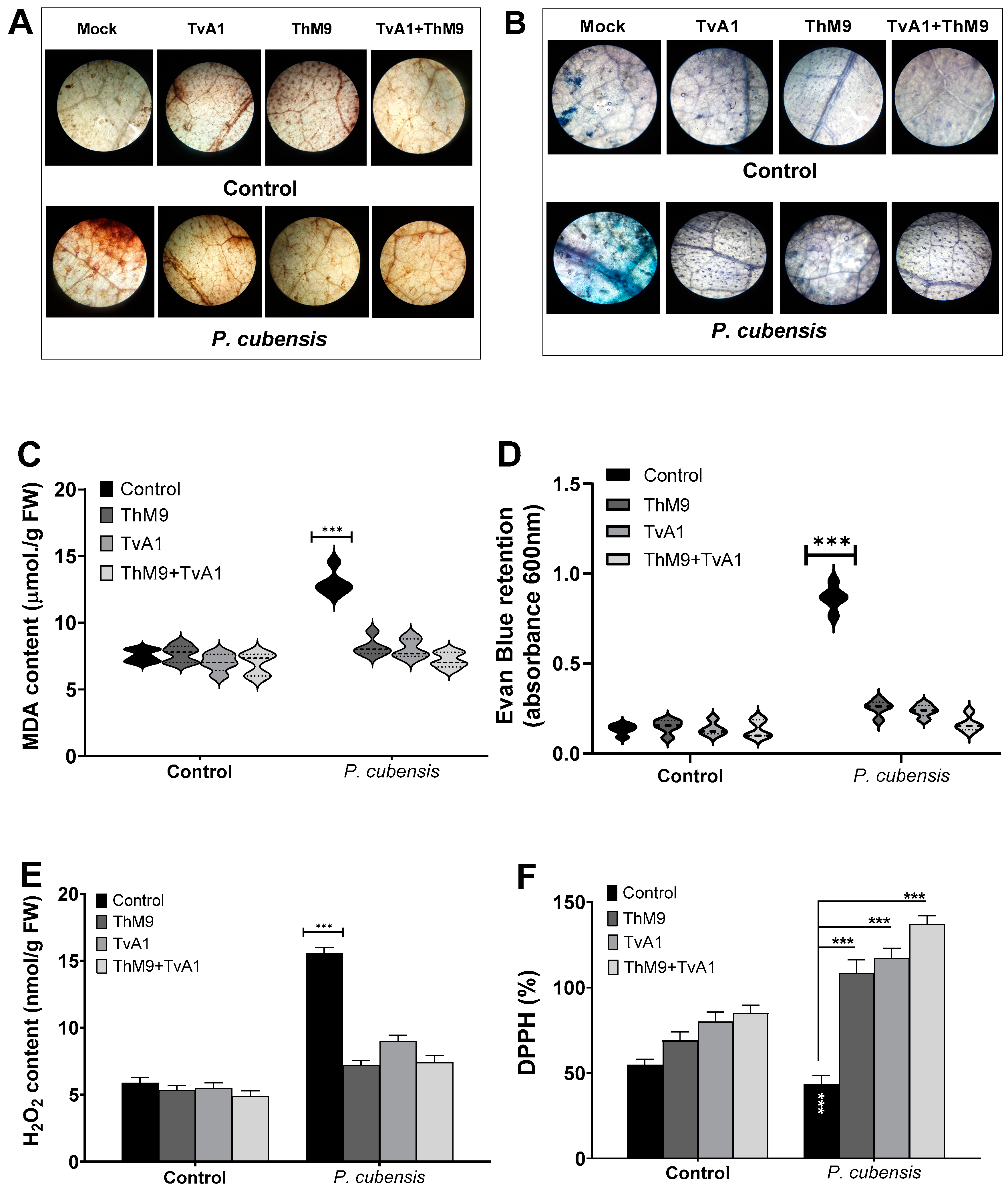 Jof 08 00689 g006 550