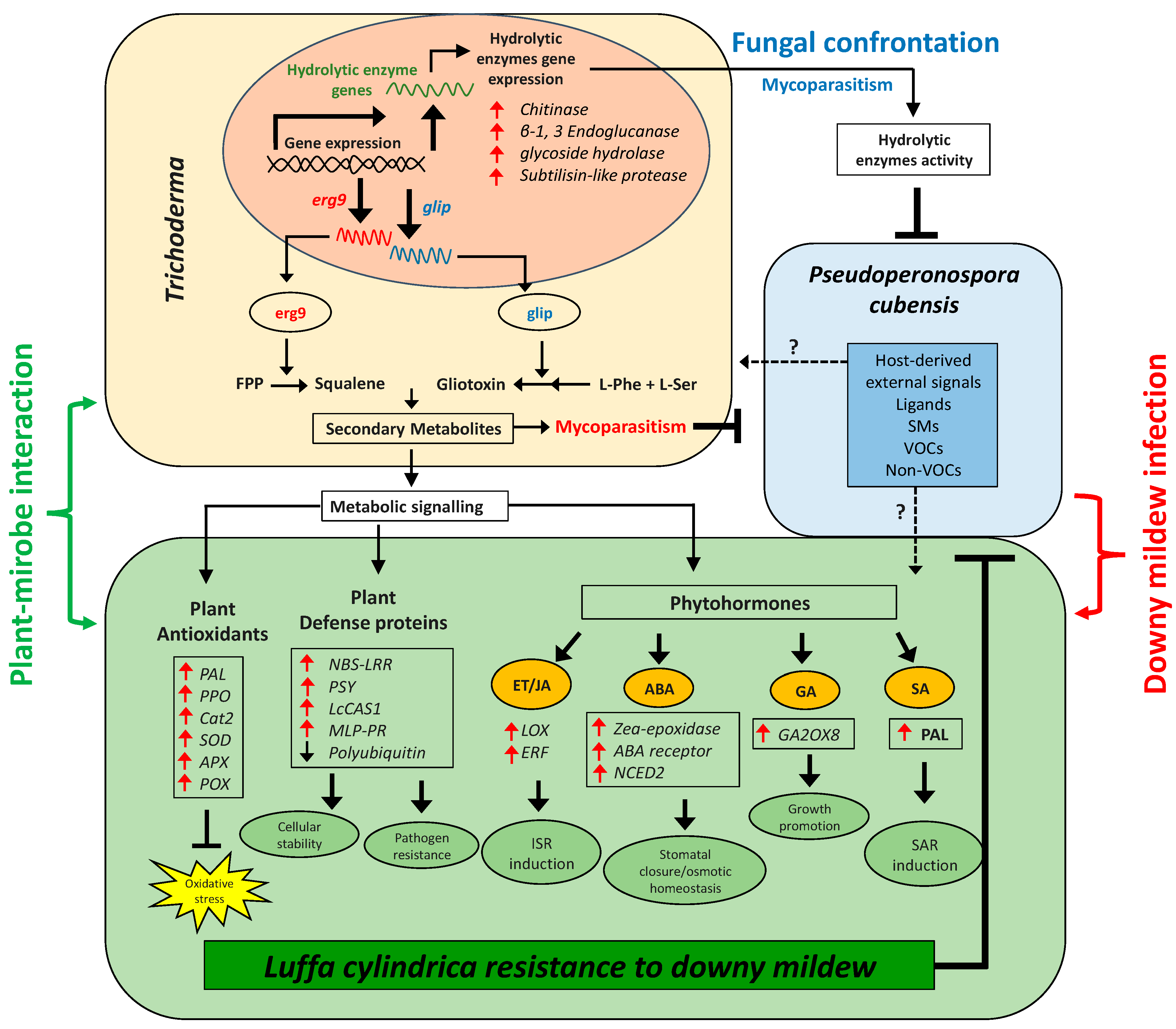 Jof 08 00689 g010 550