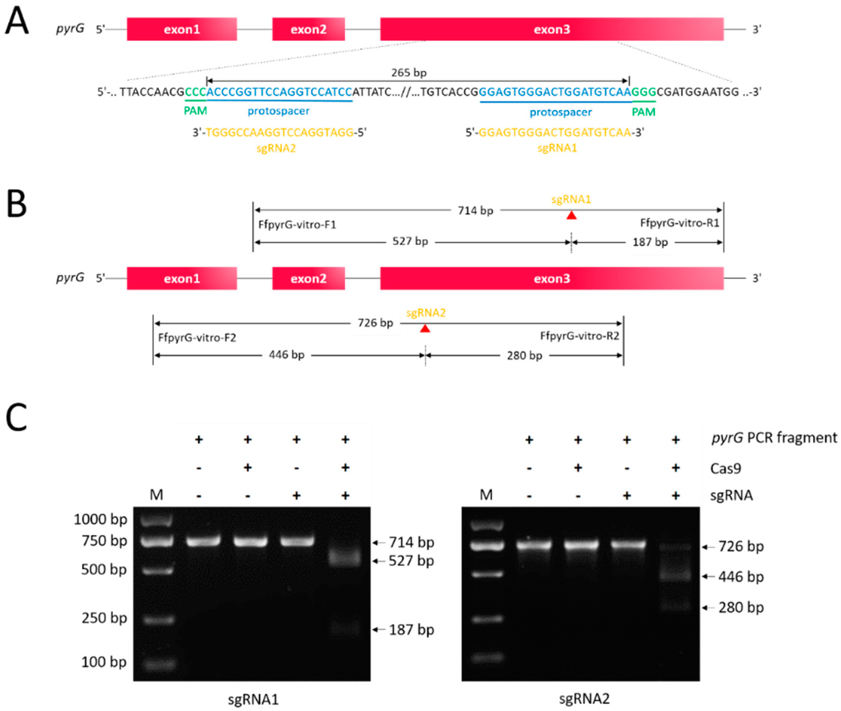 Jof 08 00693 g001 550